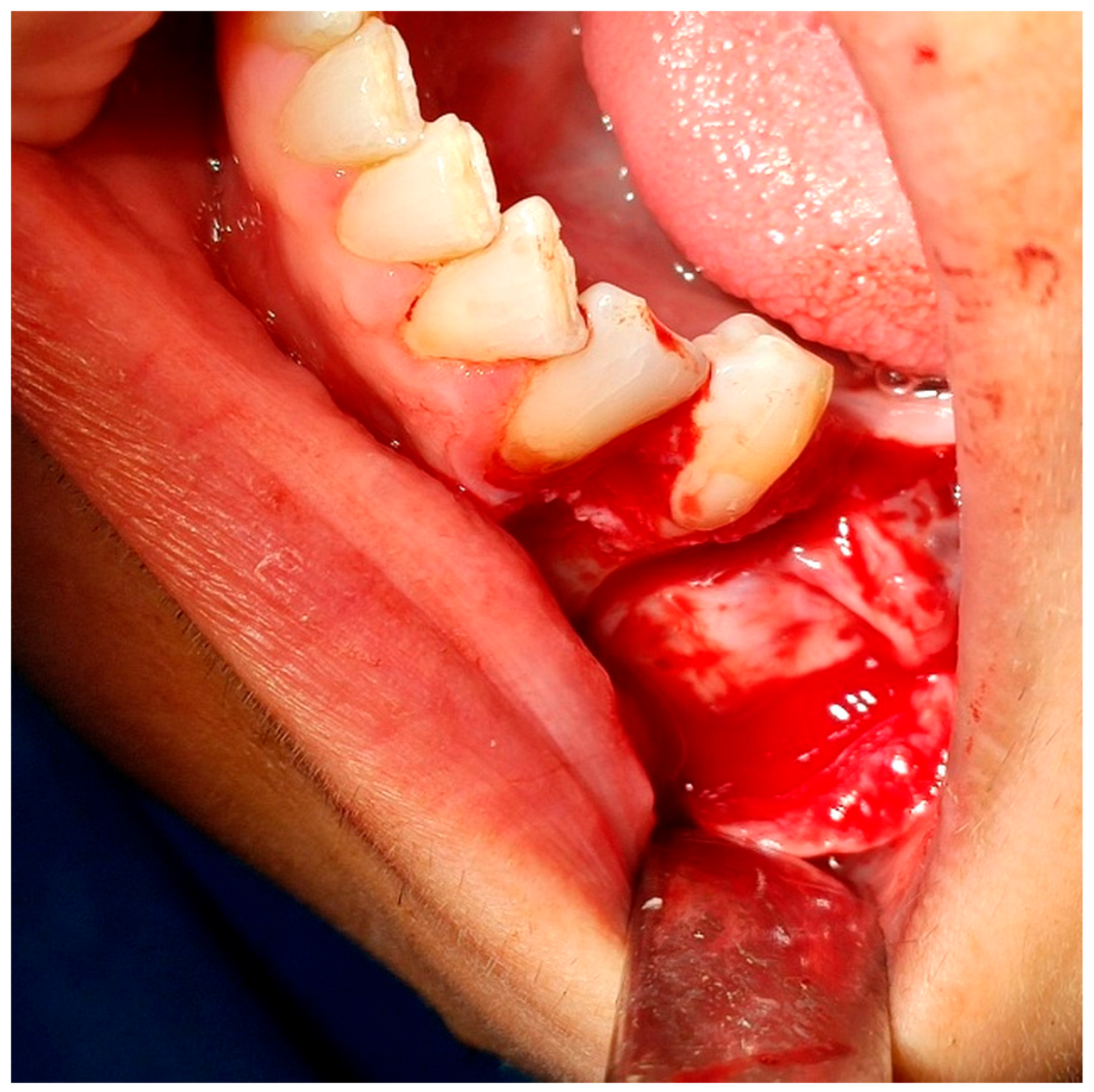 Reports 08 00177 g005