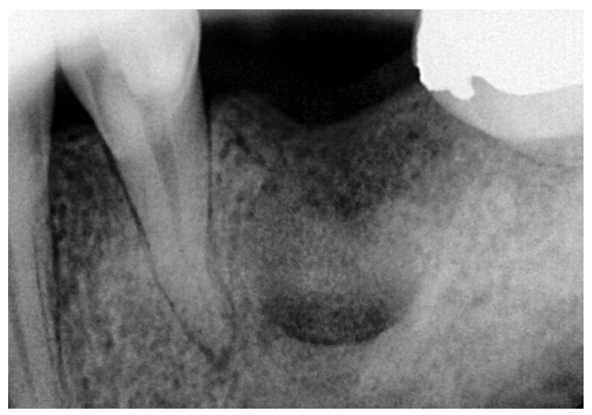 Reports 08 00177 g006