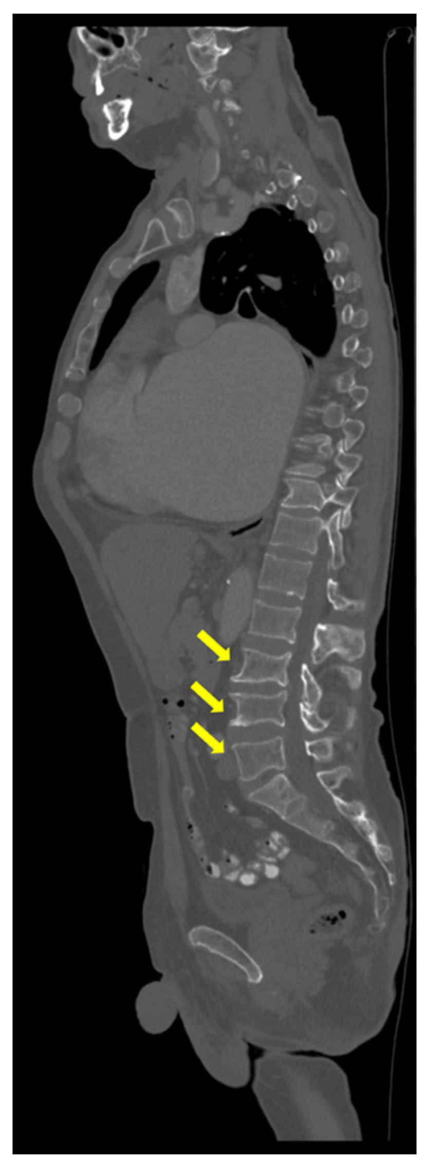 Reports 08 00180 g003 Reports 08 00180 g003