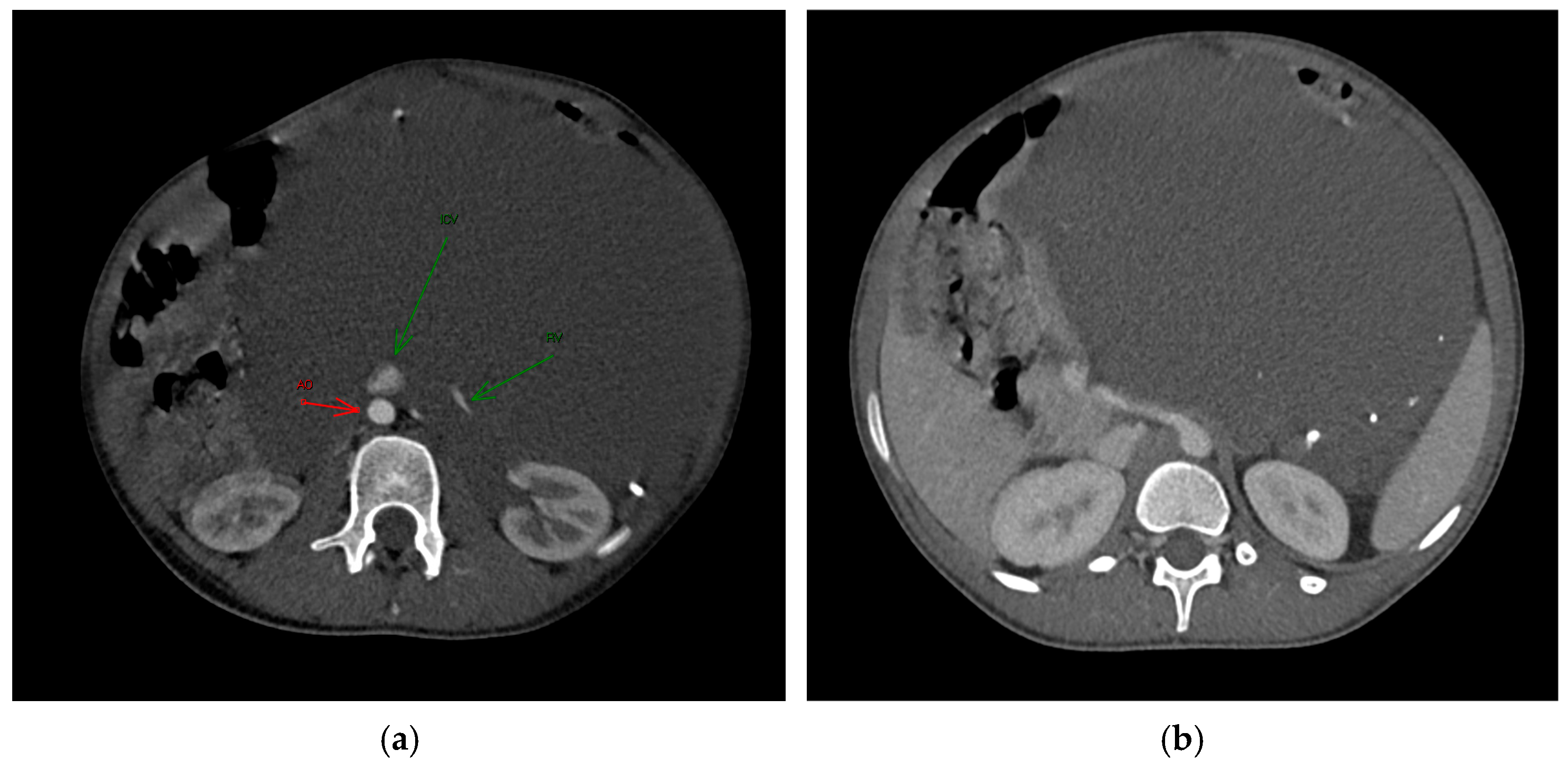 Reports 08 00183 g001