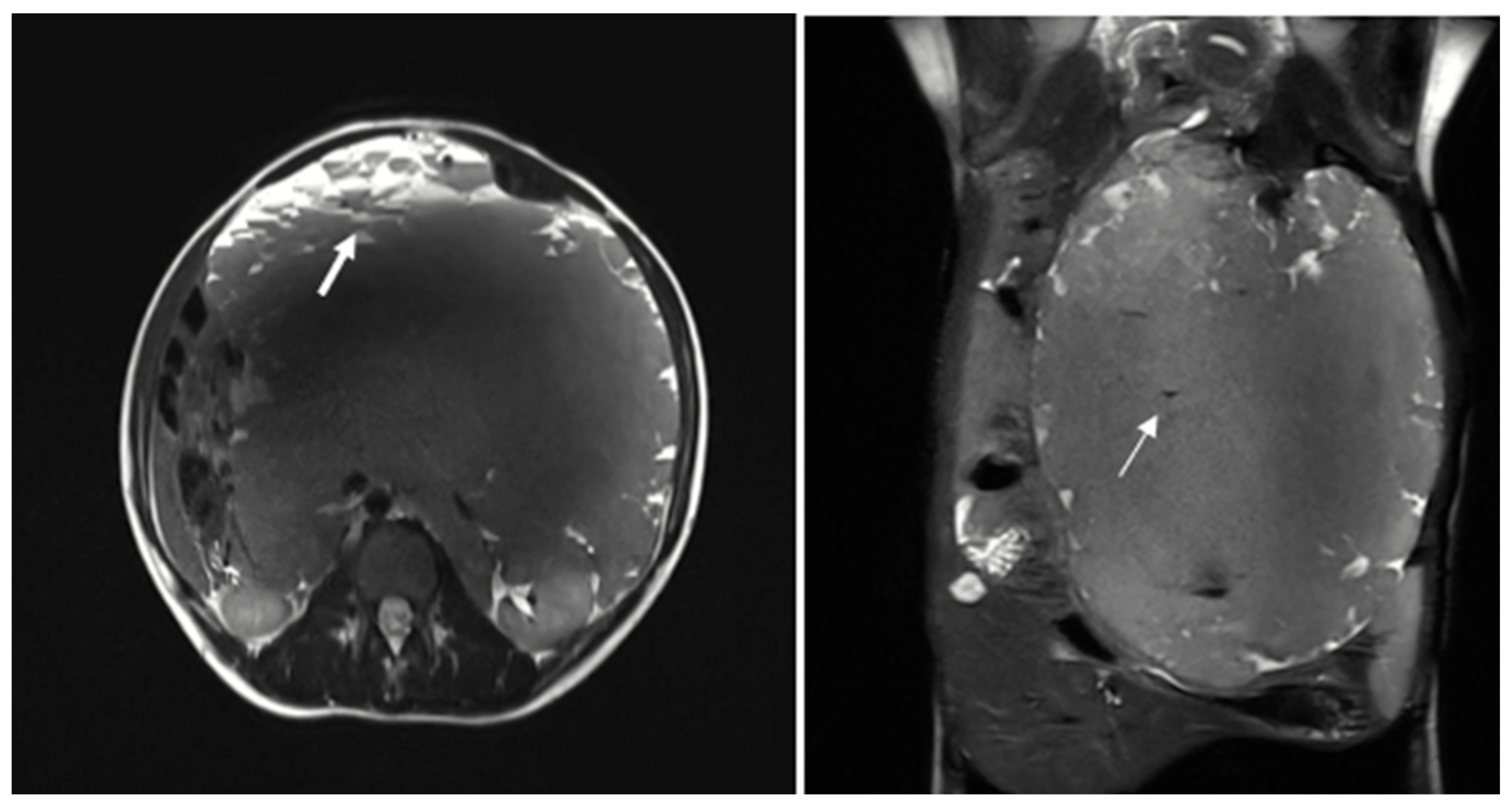 Reports 08 00183 g002