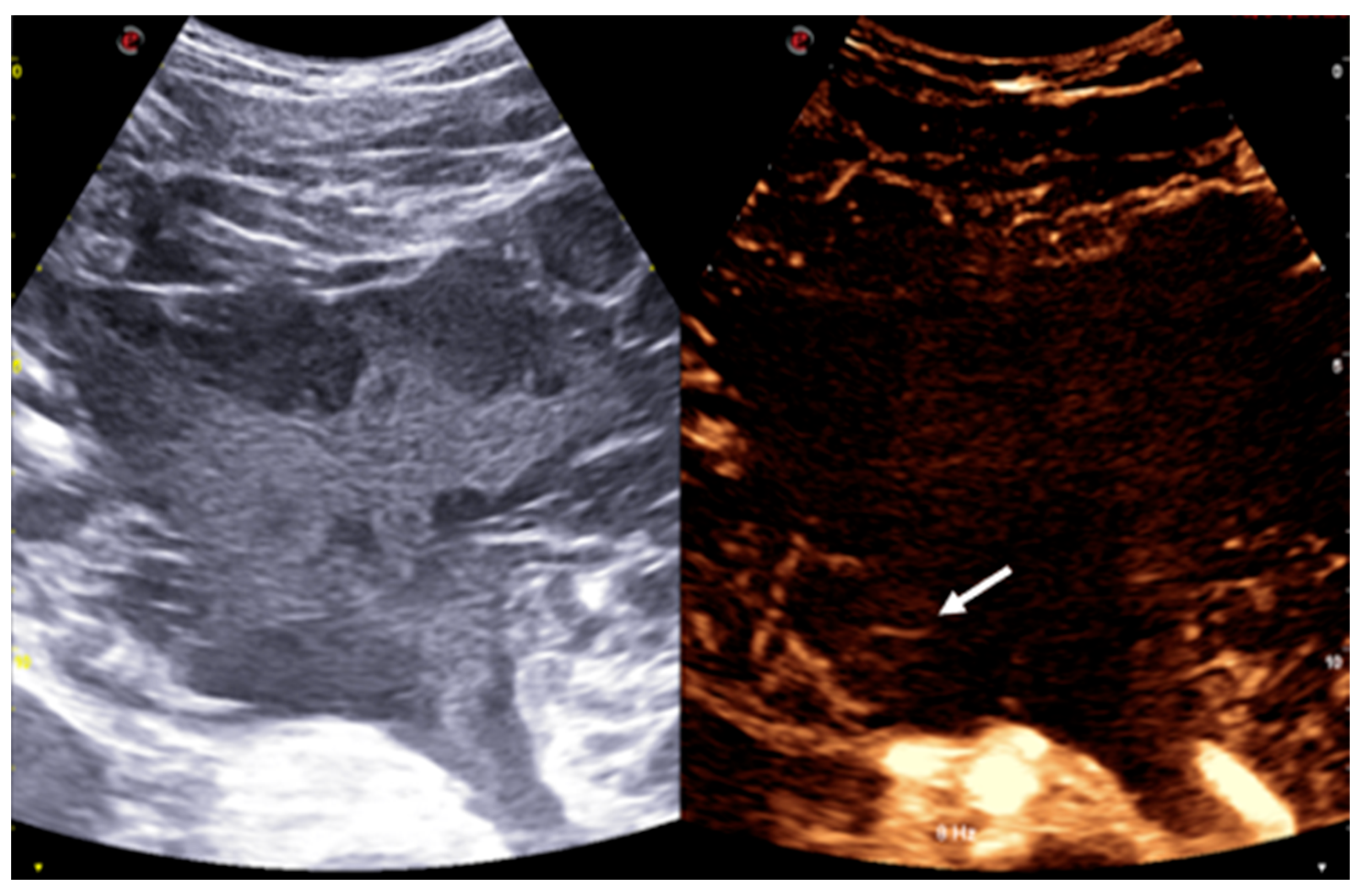 Reports 08 00183 g003