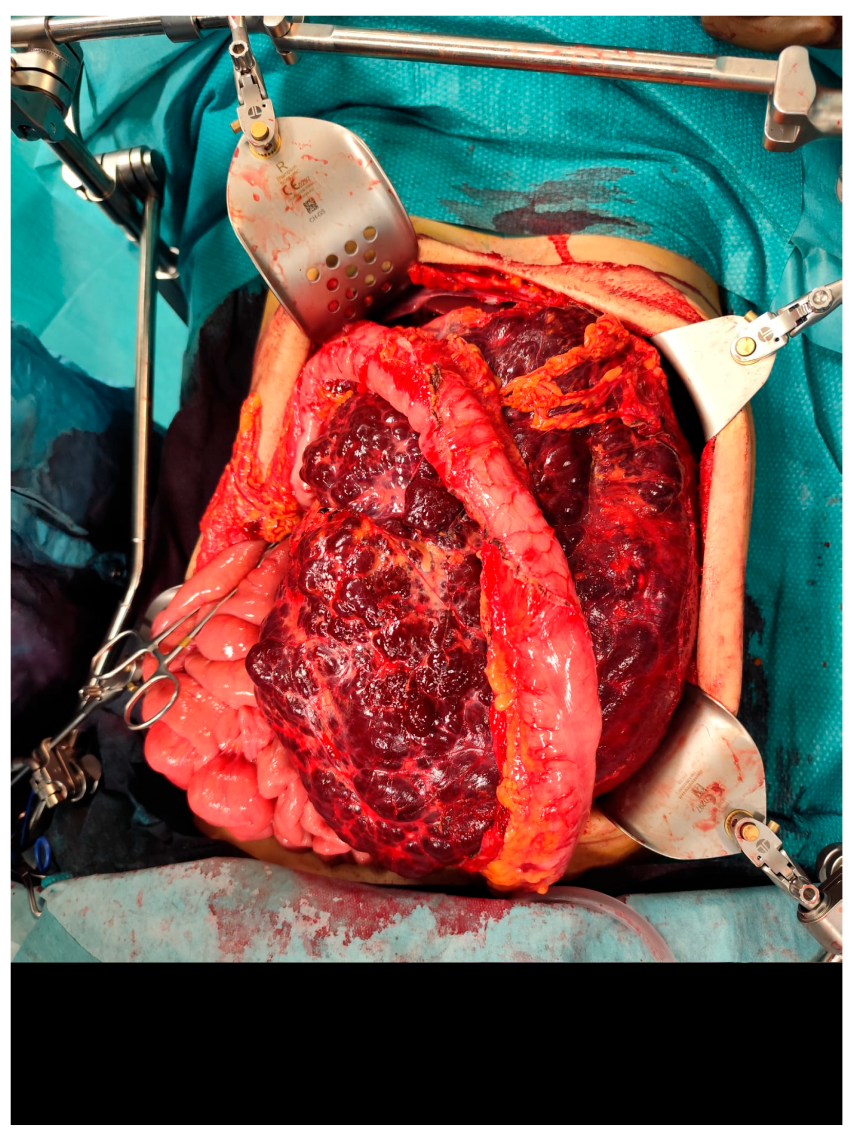 Reports 08 00183 g004