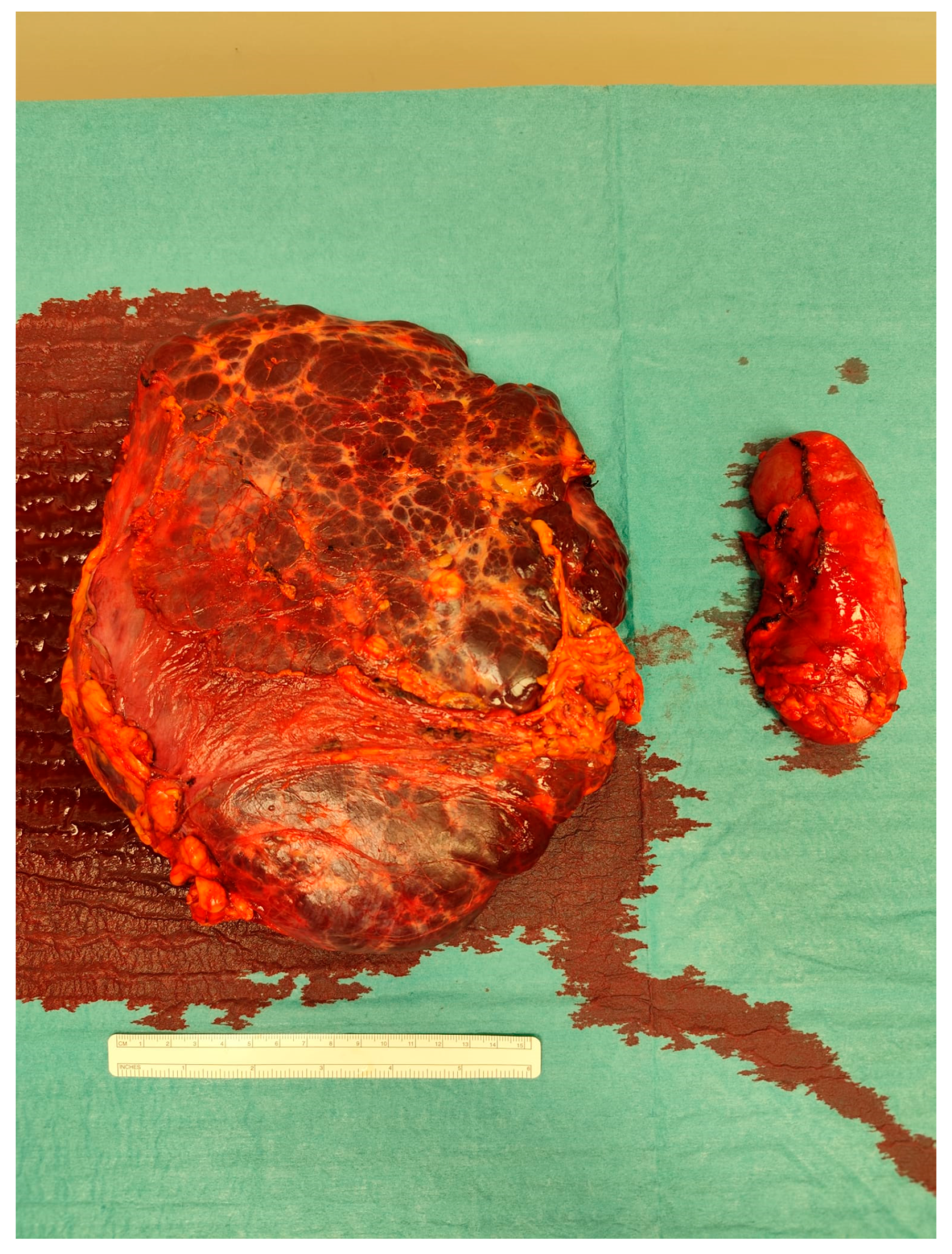 Reports 08 00183 g005