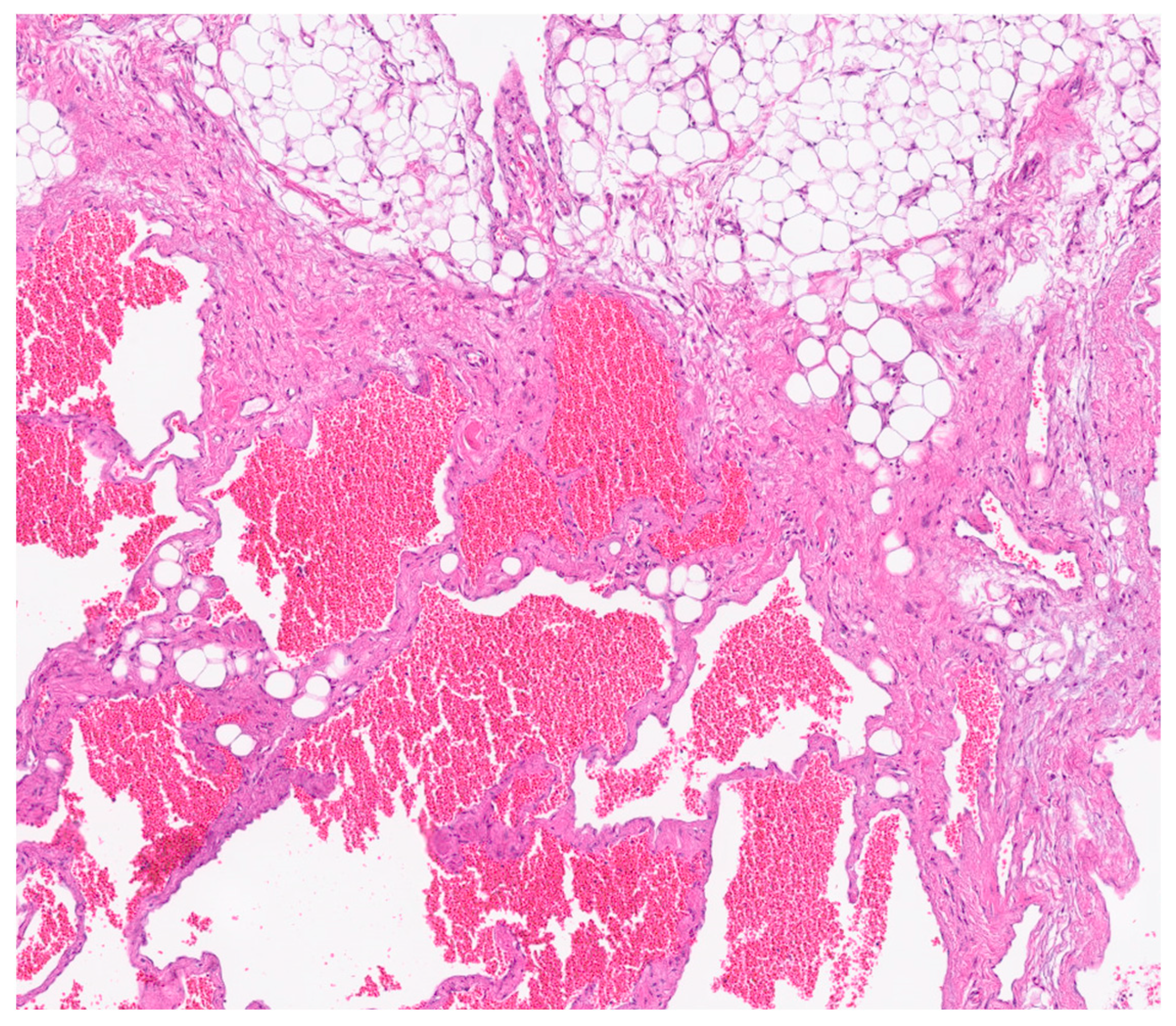 Reports 08 00183 g006