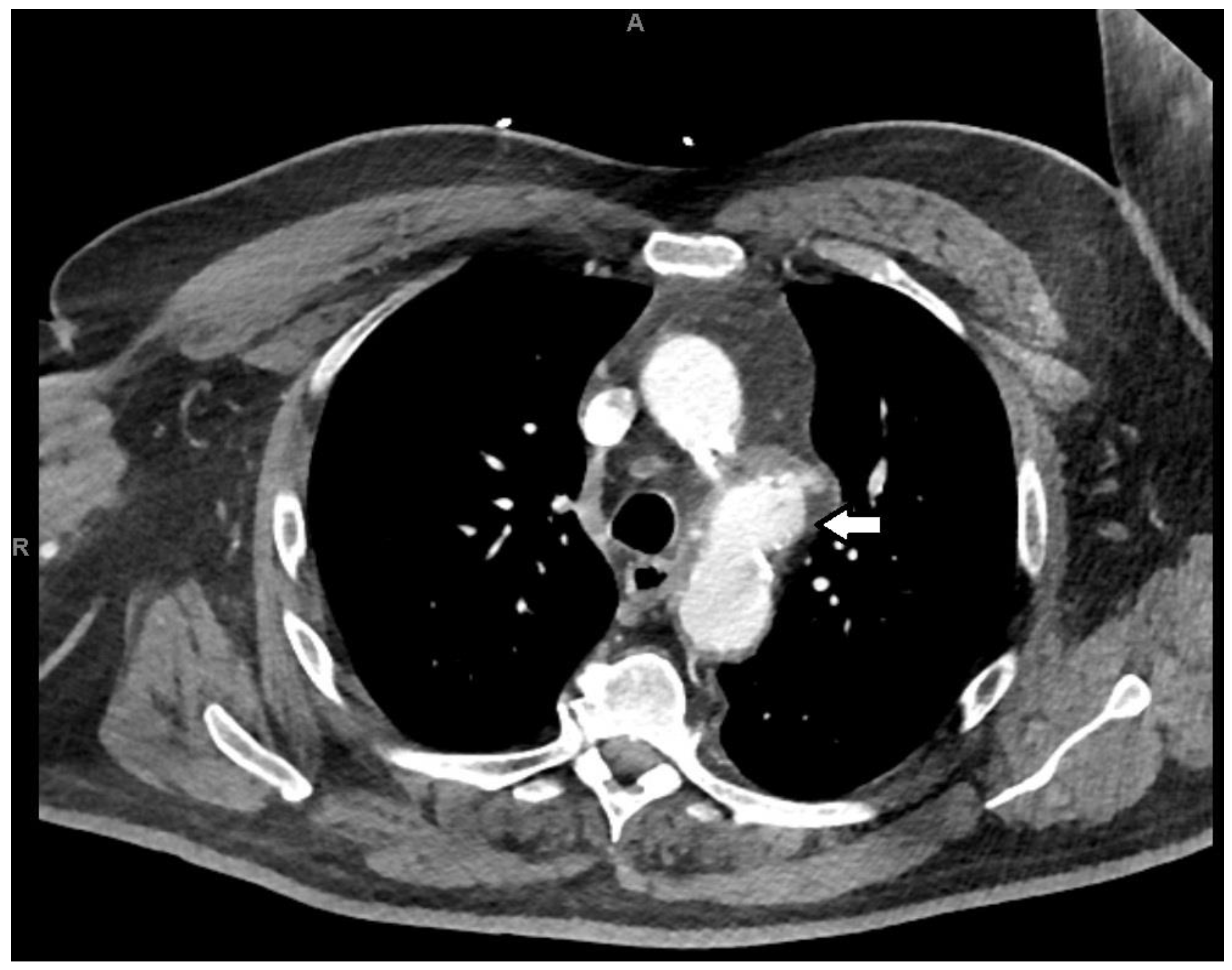 Reports 08 00184 g001 Reports 08 00184 g001