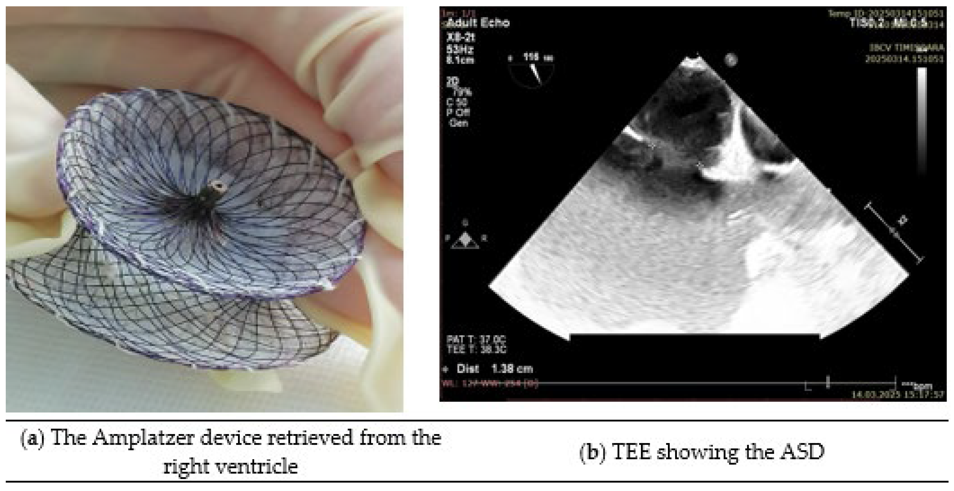 Reports 08 00185 g001 Reports 08 00185 g001