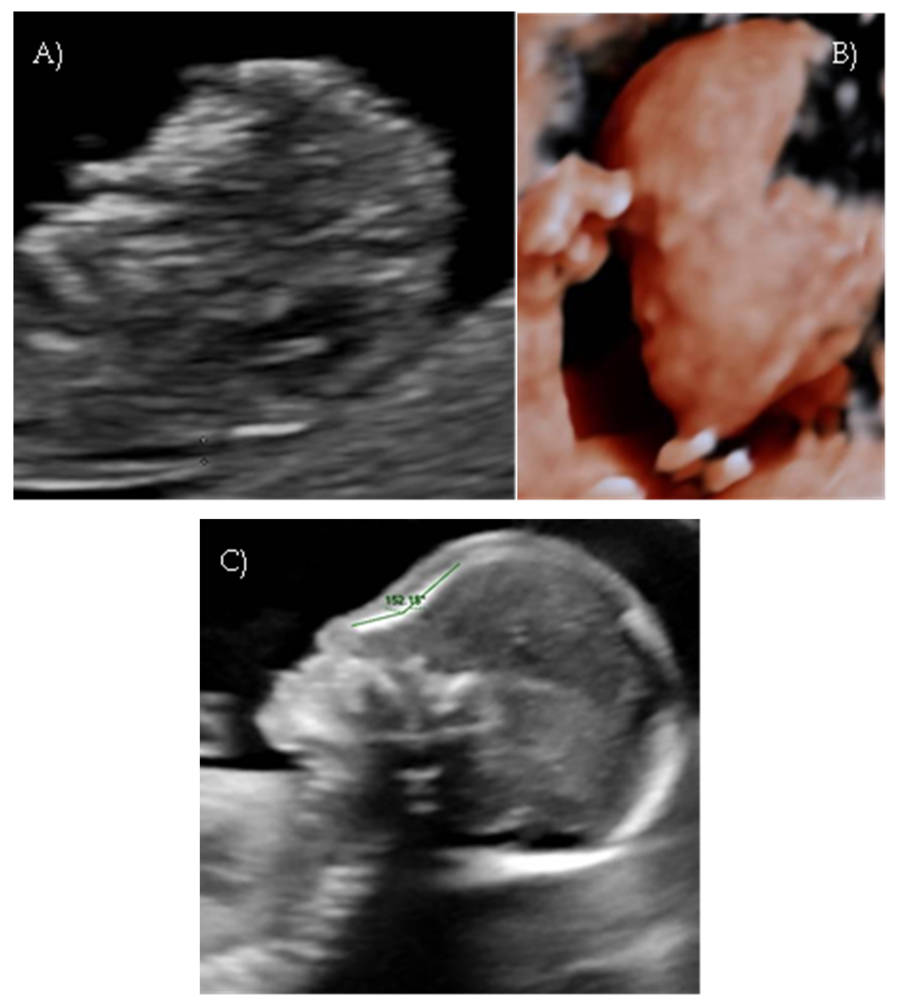 Reports 08 00188 g001