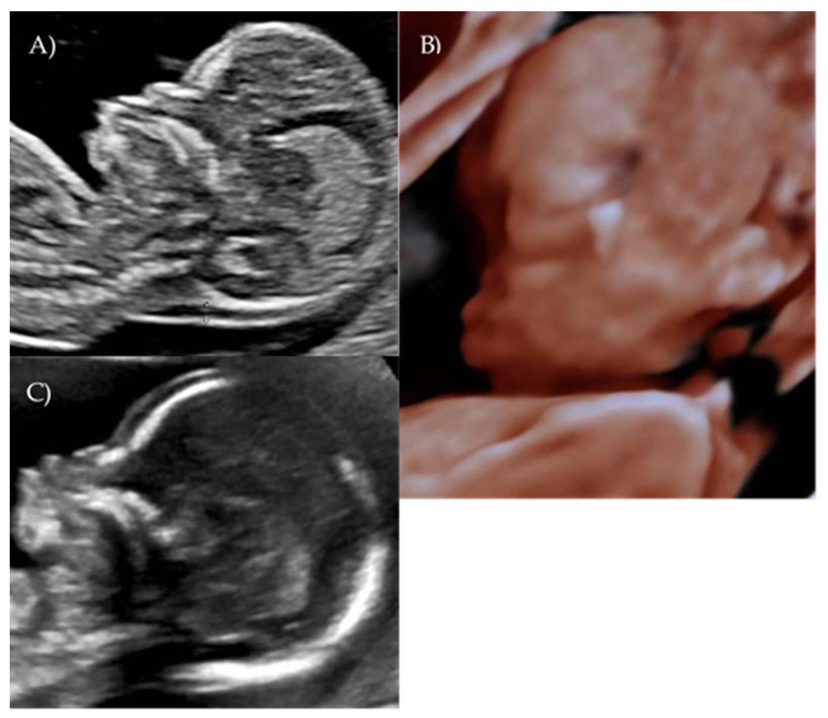 Reports 08 00188 g002