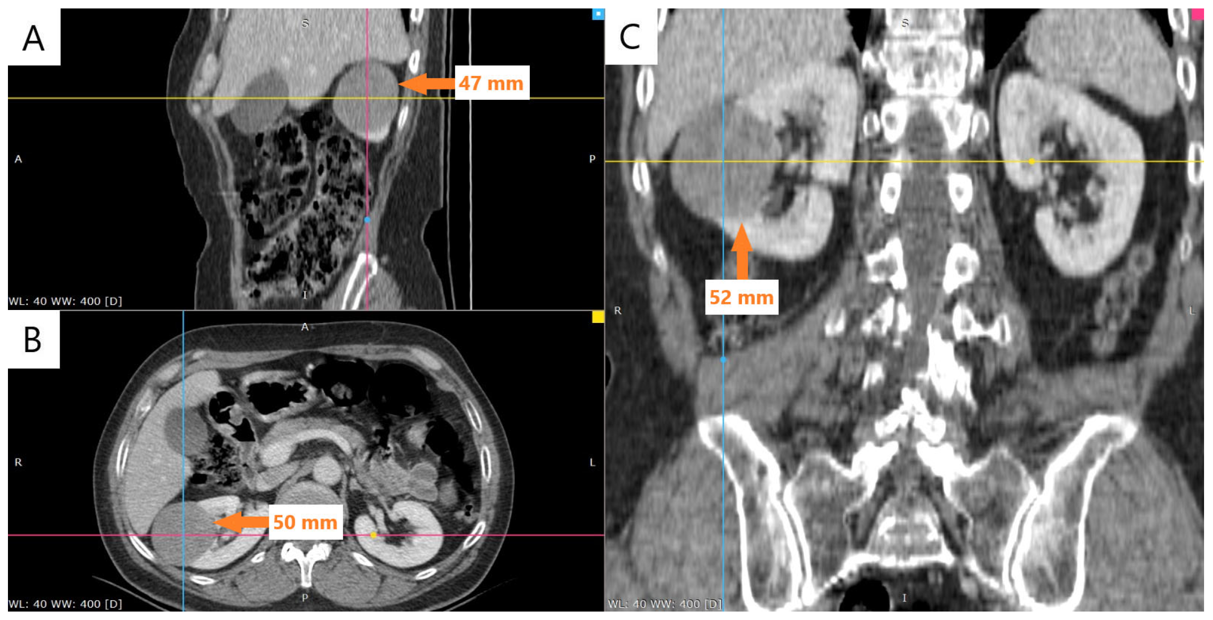 Reports 08 00189 g001