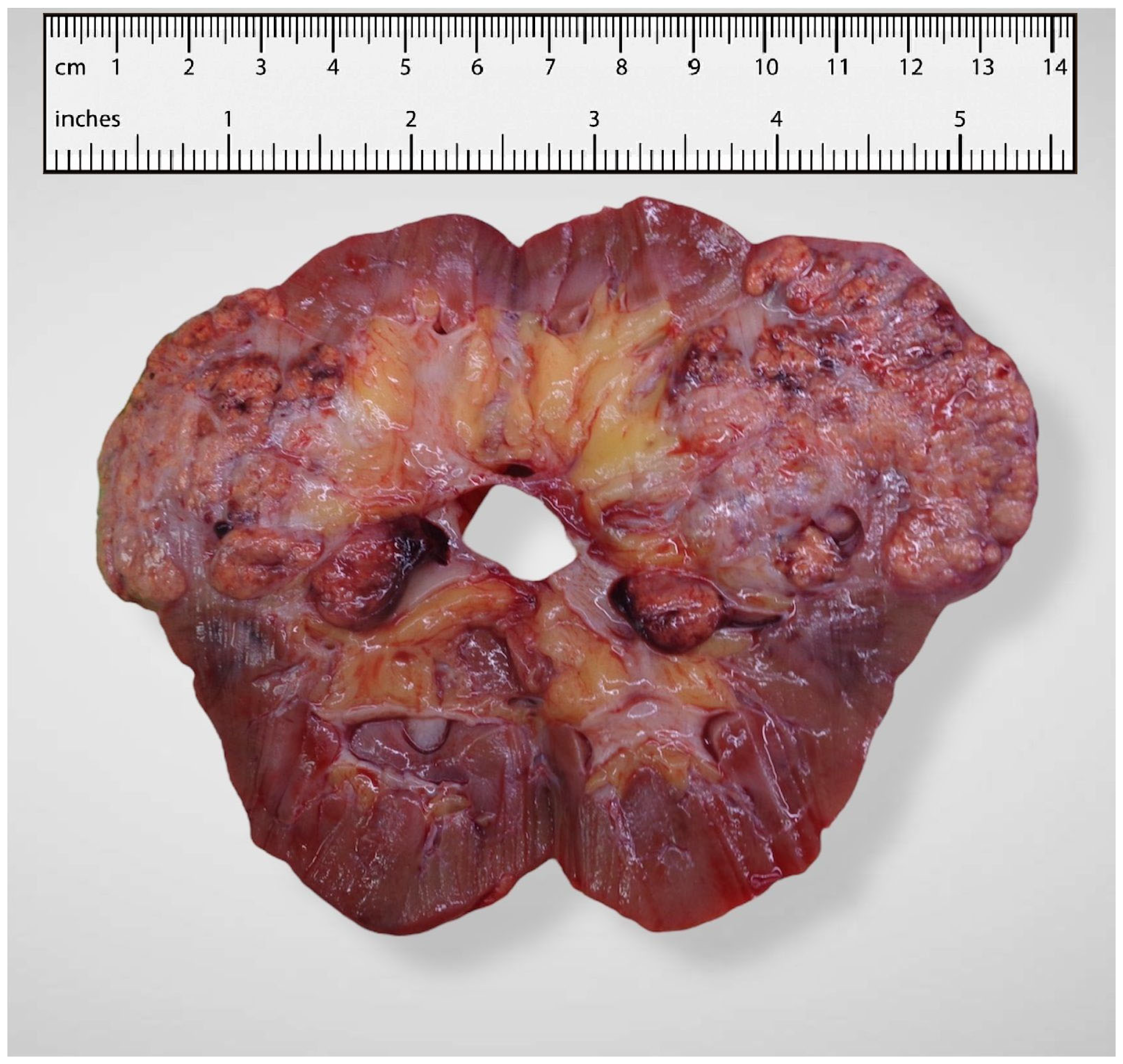 Reports 08 00189 g002