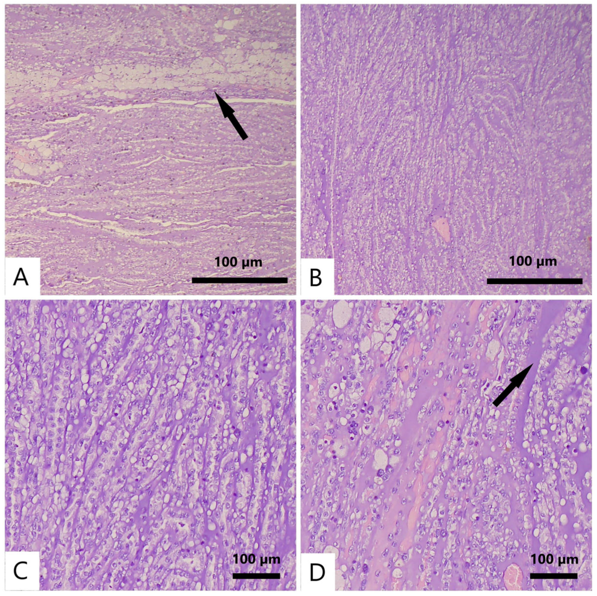 Reports 08 00189 g003