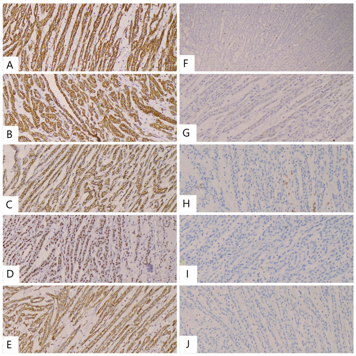 Reports 08 00189 g004