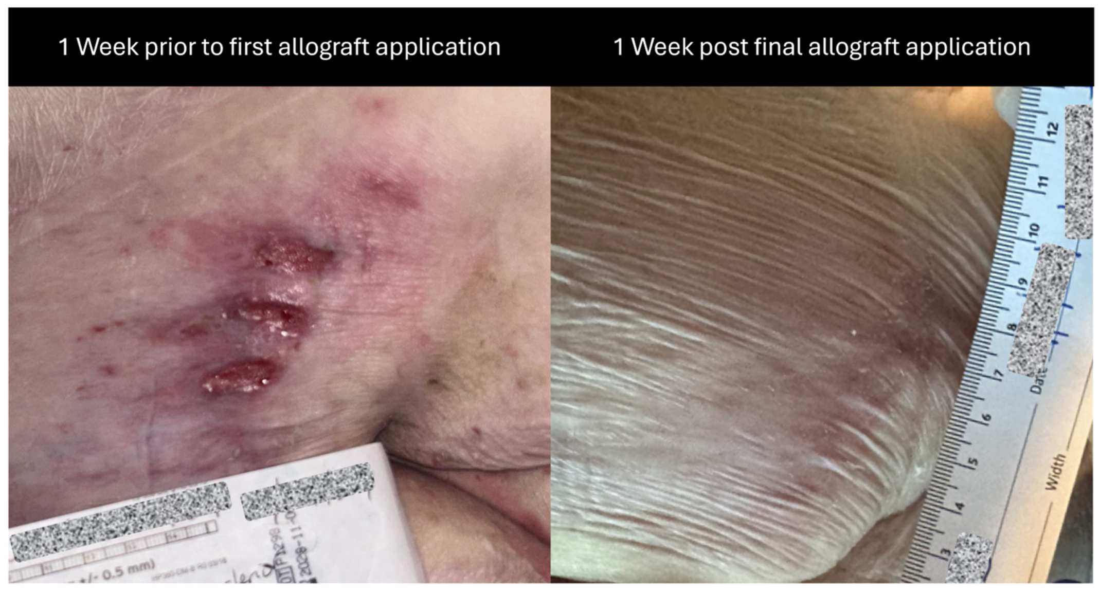 Reports 08 00199 g002