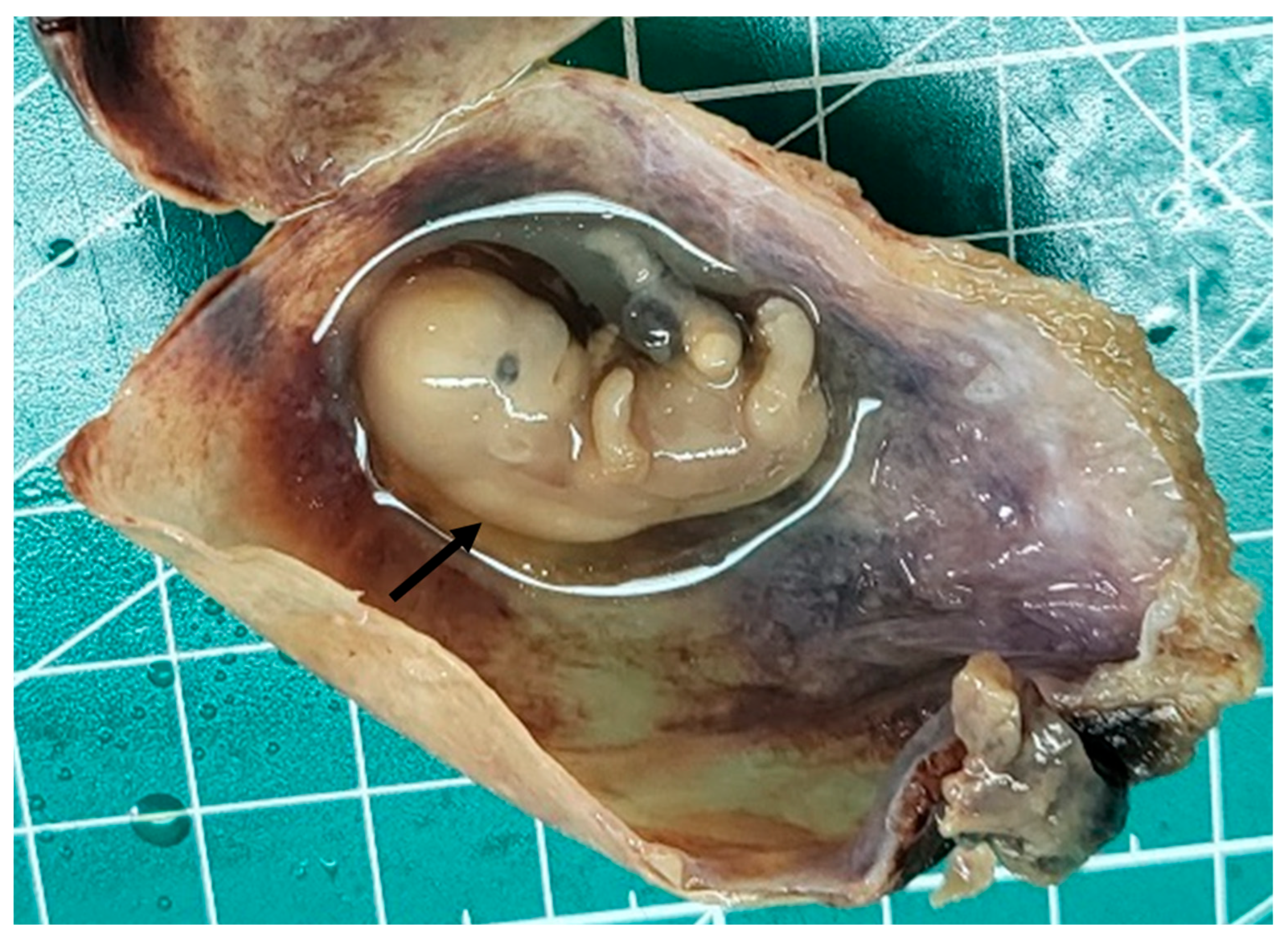 Reports 08 00202 g001