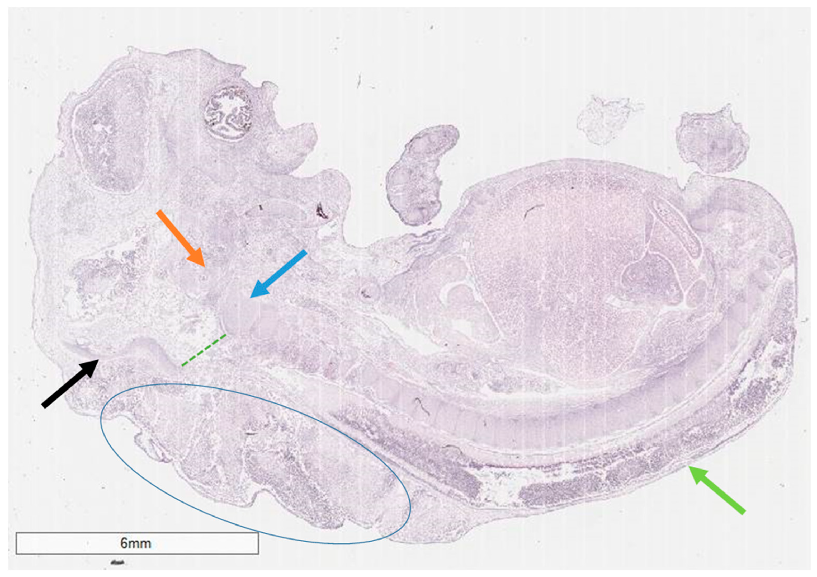 Reports 08 00202 g002