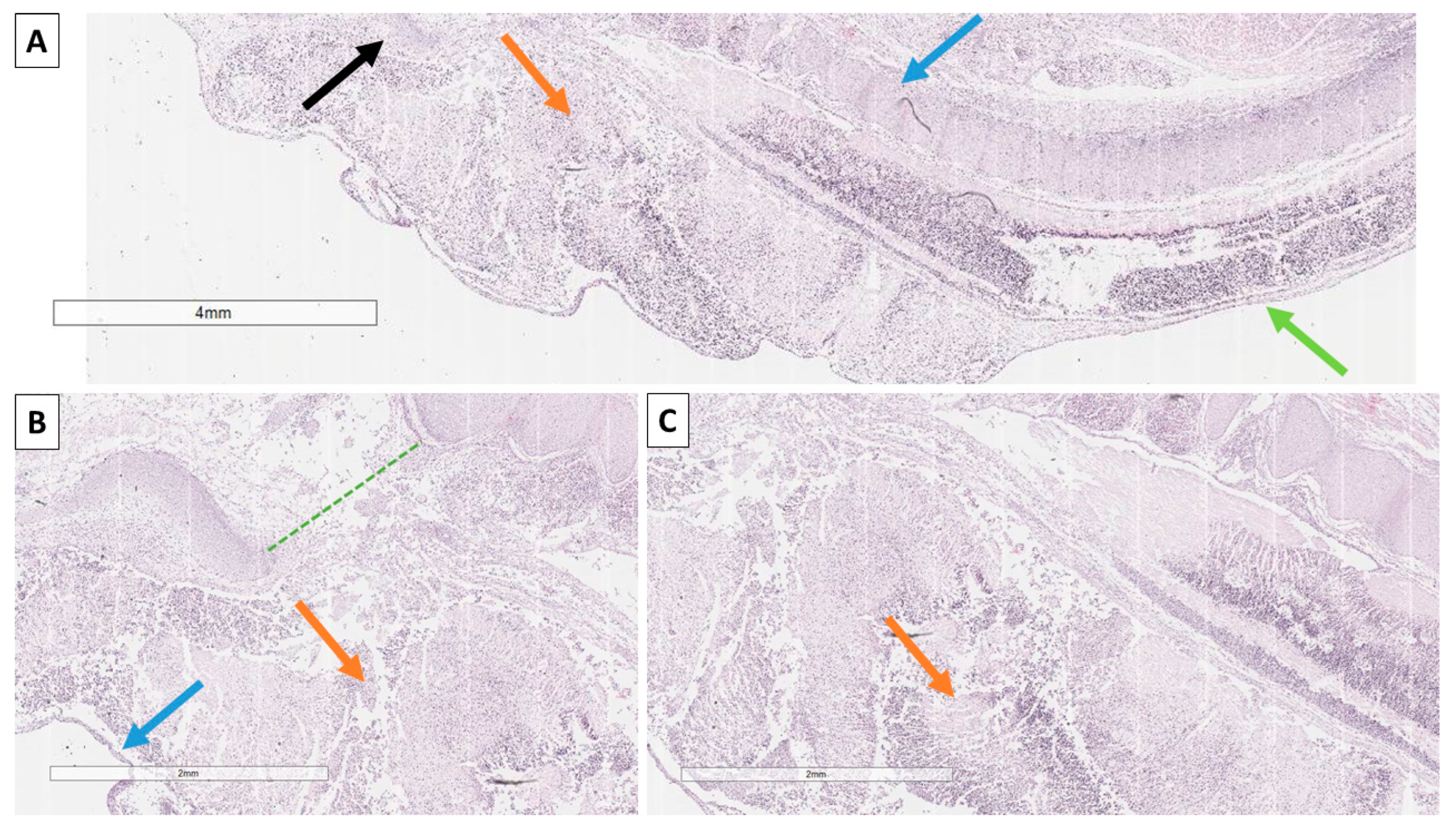 Reports 08 00202 g003
