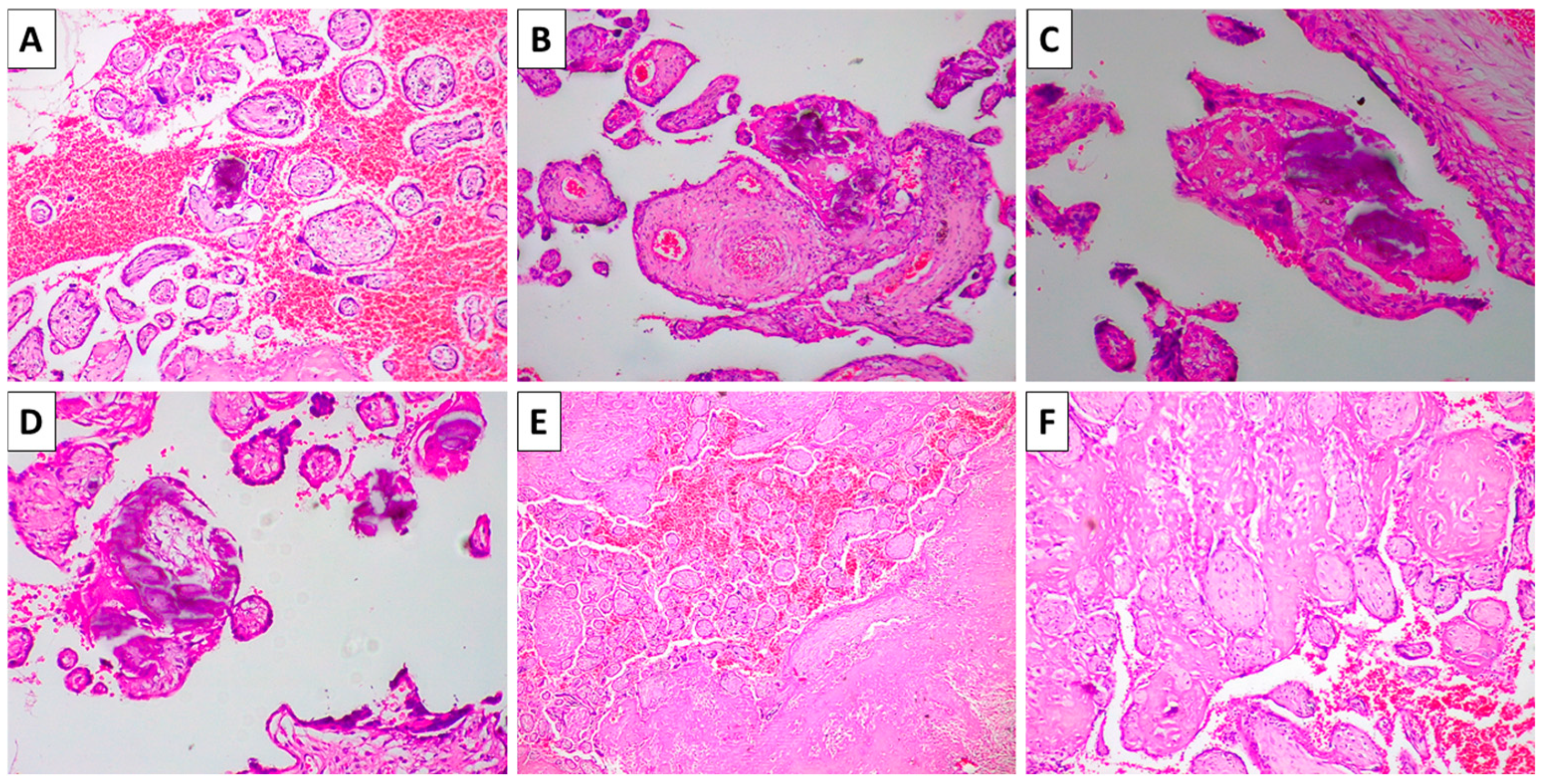 Reports 08 00203 g002