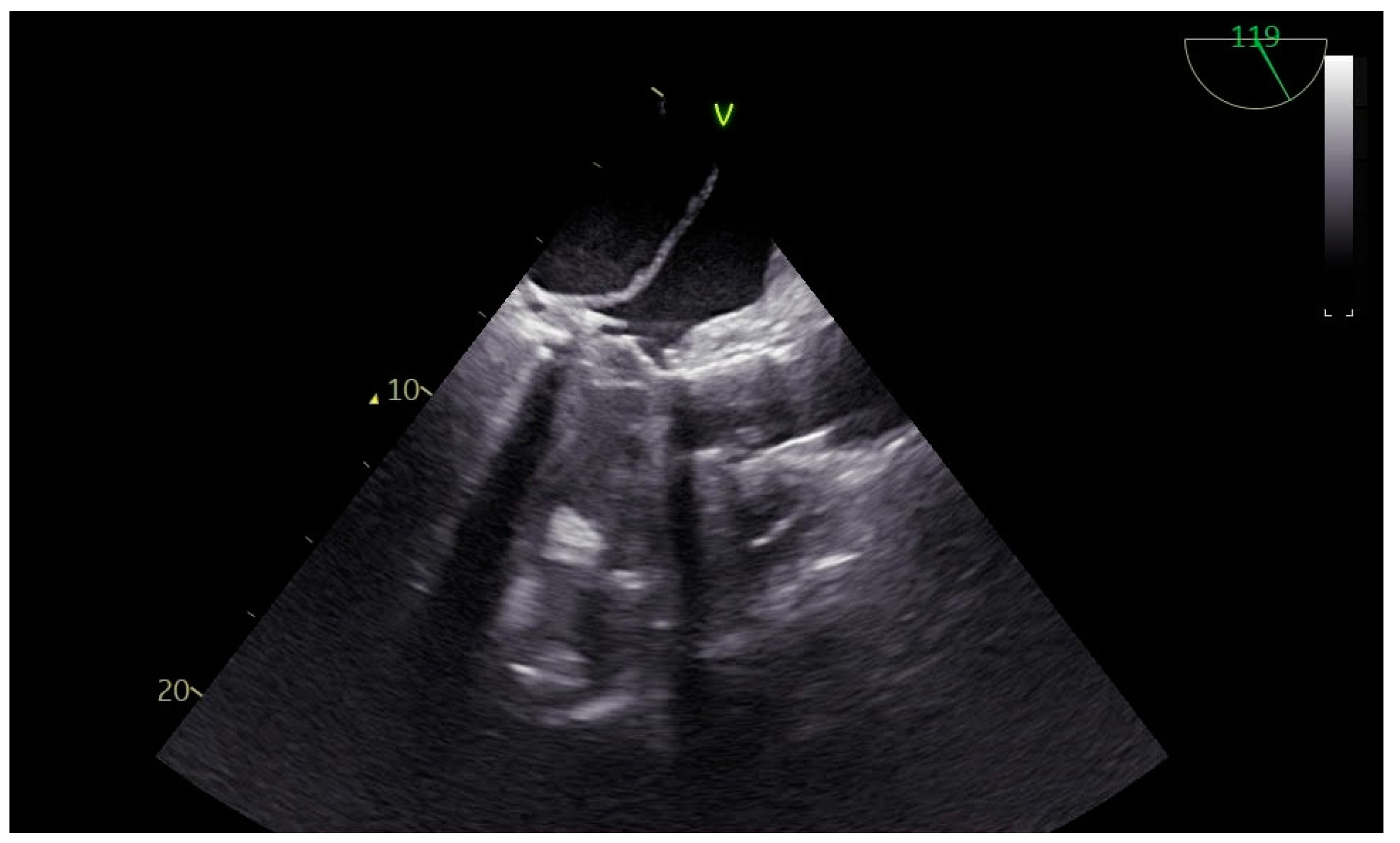 Reports 08 00205 g003 Reports 08 00205 g003