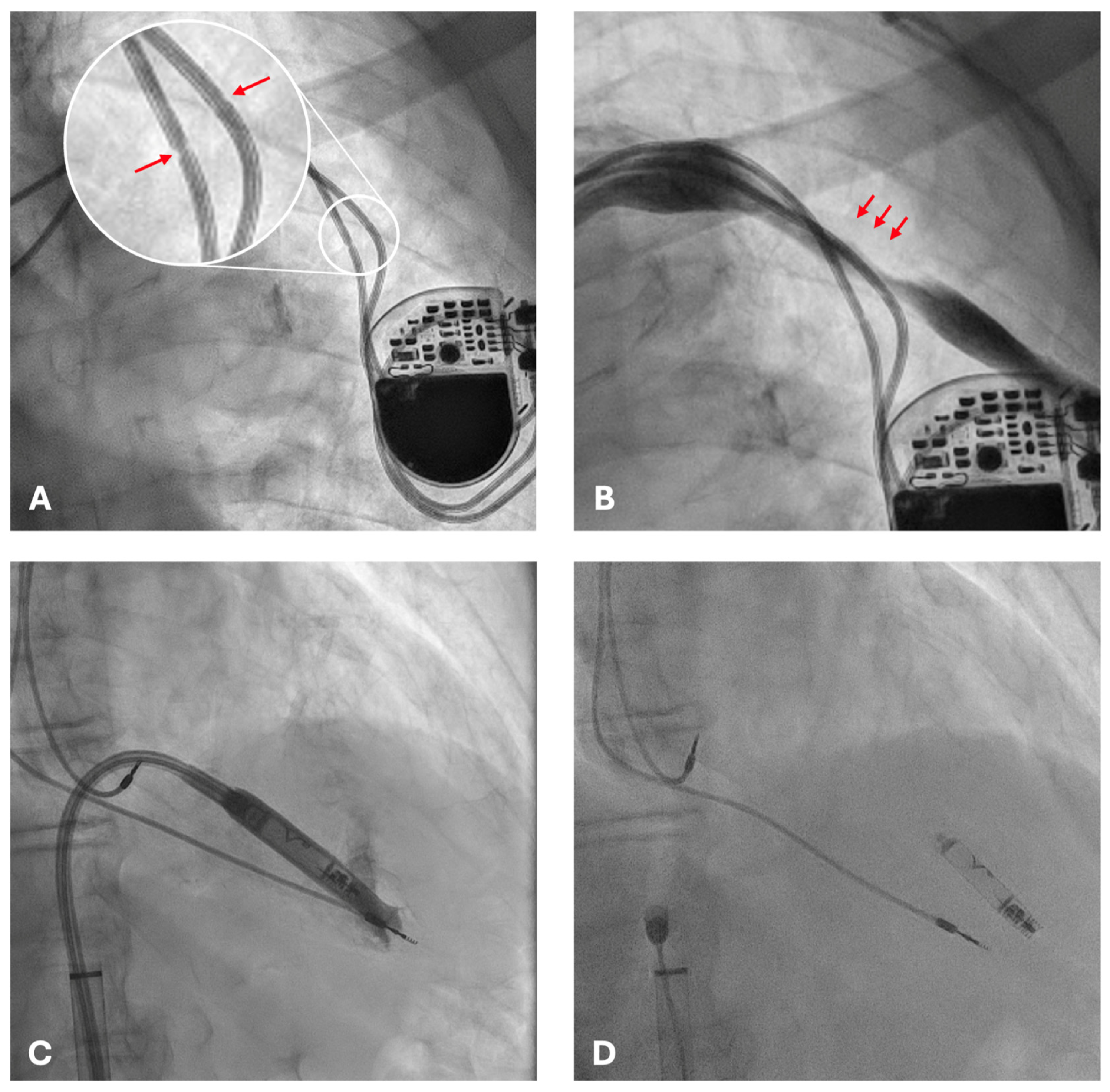 Reports 08 00206 g002 Reports 08 00206 g002