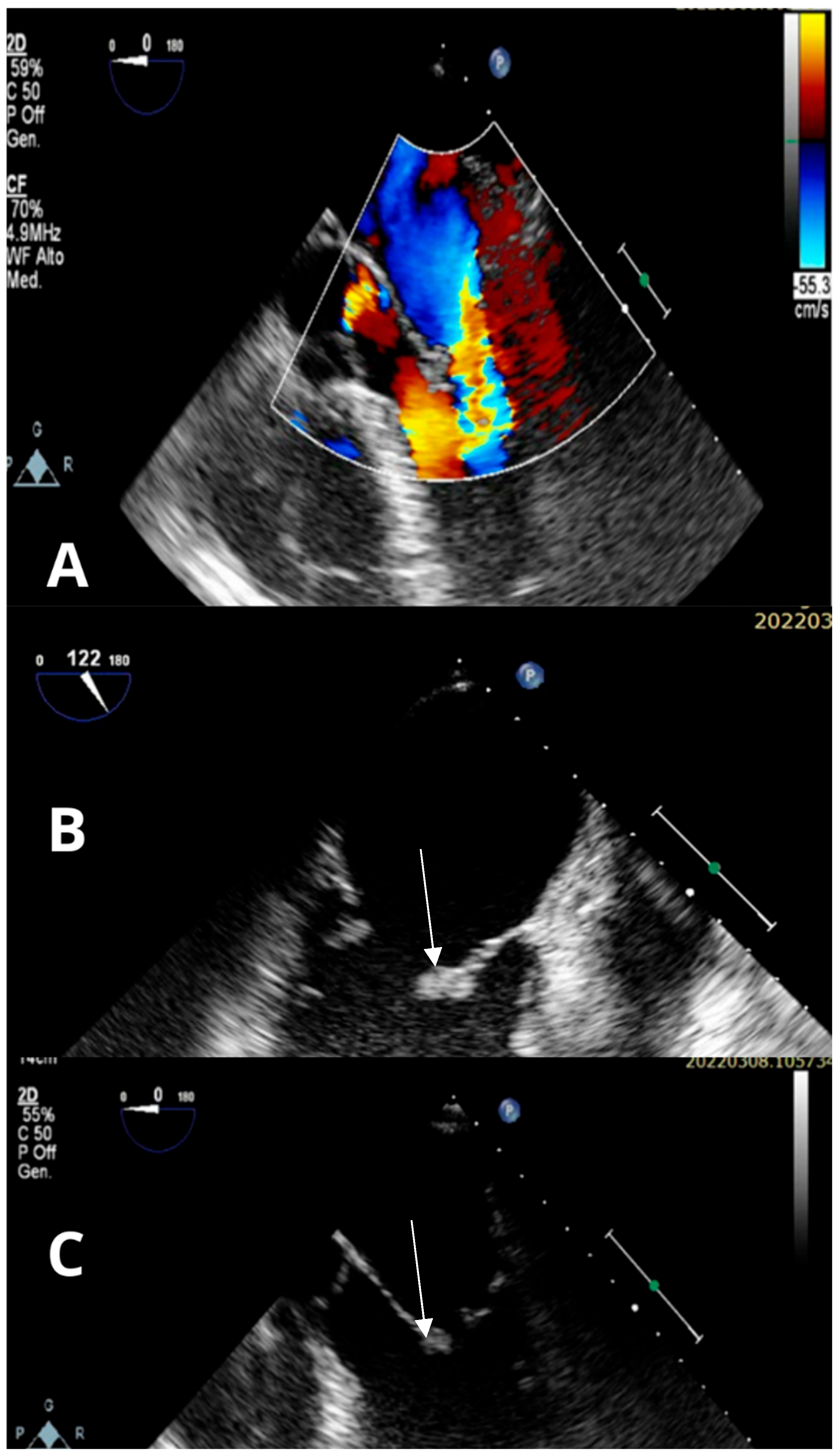 Reports 08 00215 g002 Reports 08 00215 g002