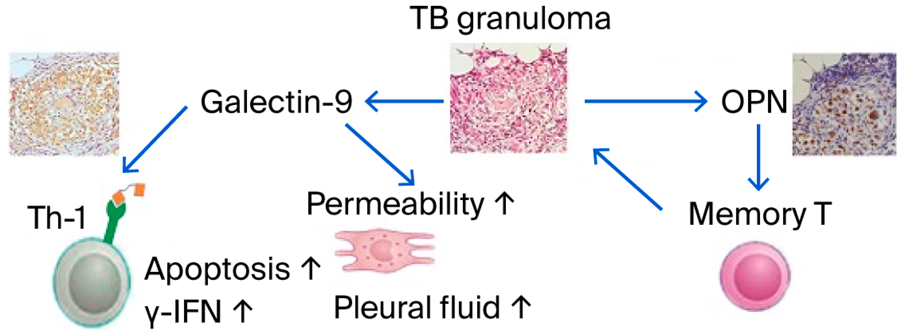 Reports 08 00216 g002