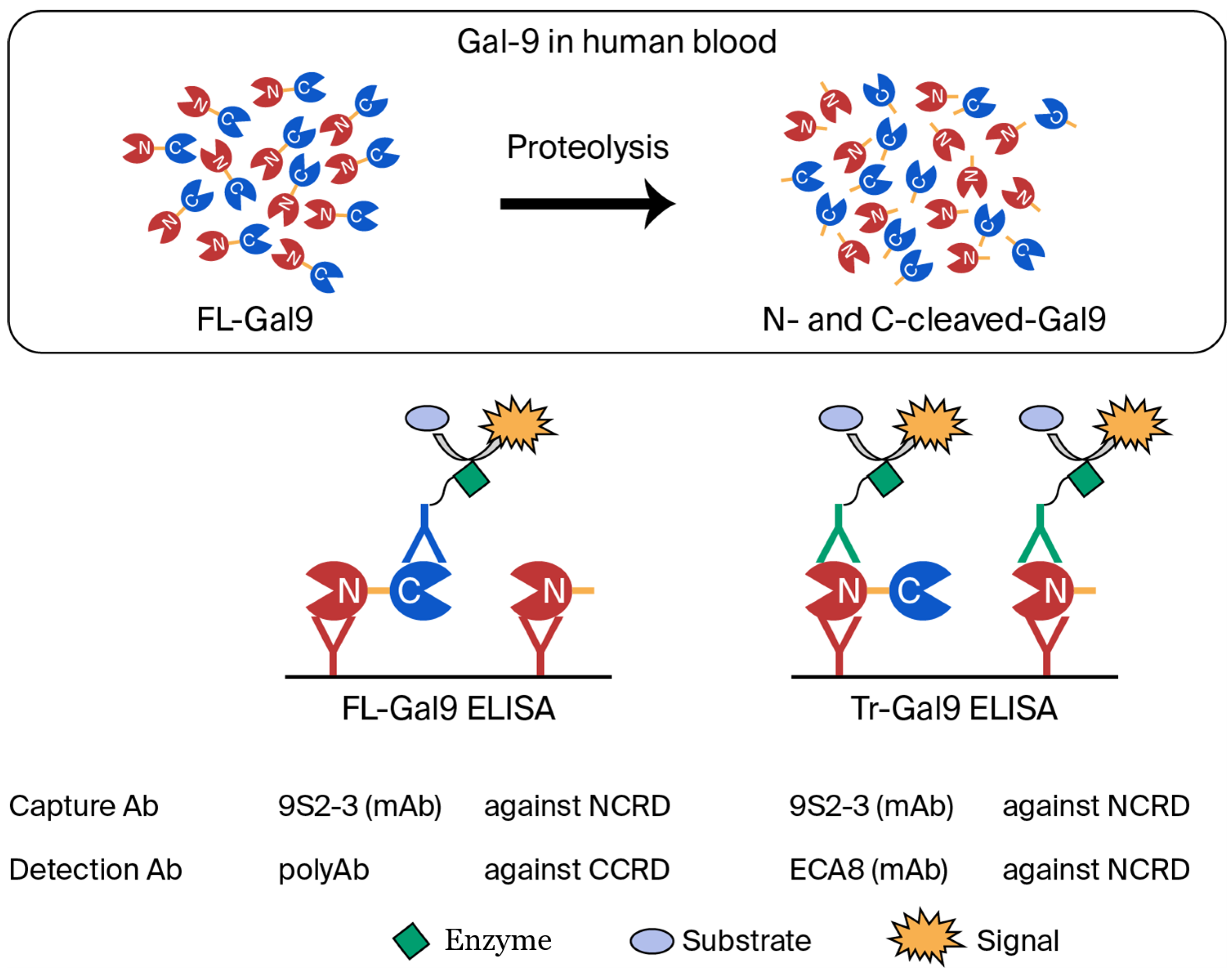 Reports 08 00216 g004