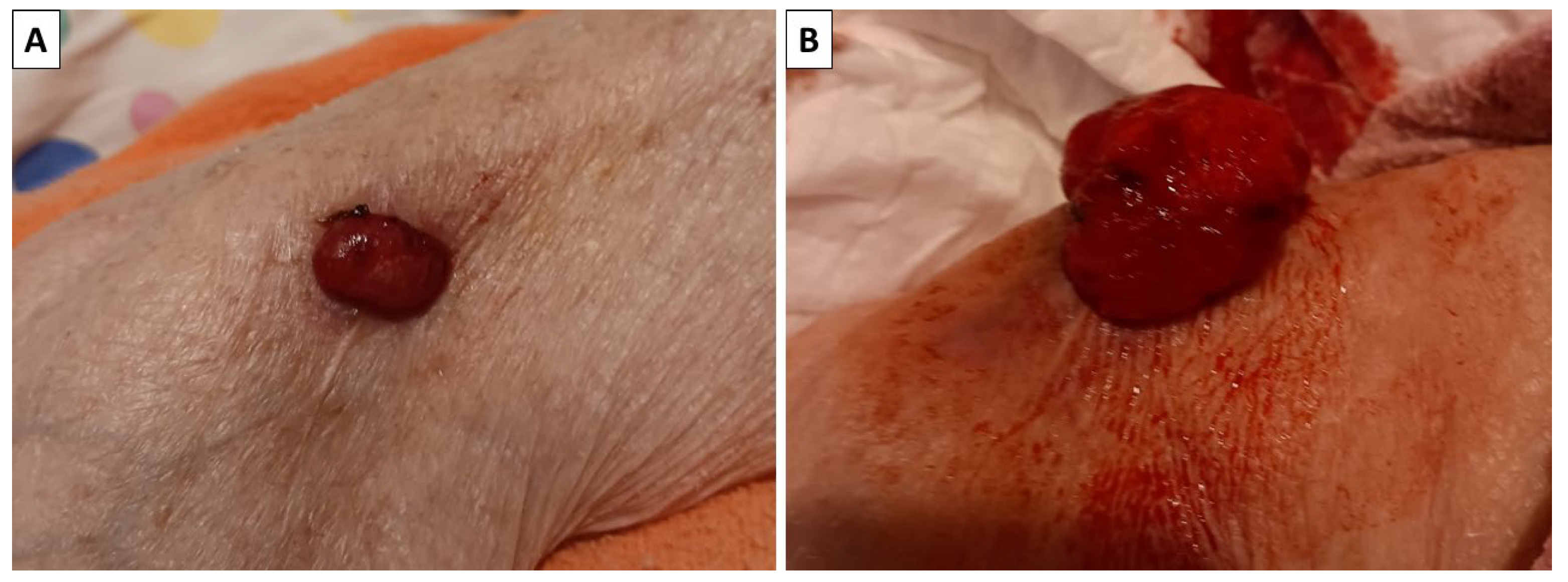 Reports 08 00218 g001