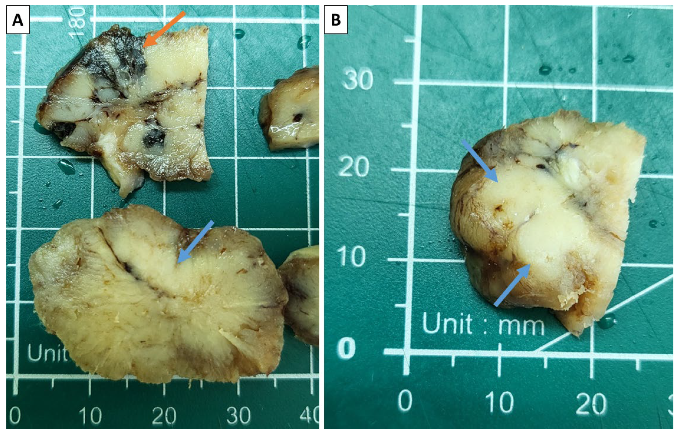 Reports 08 00218 g002