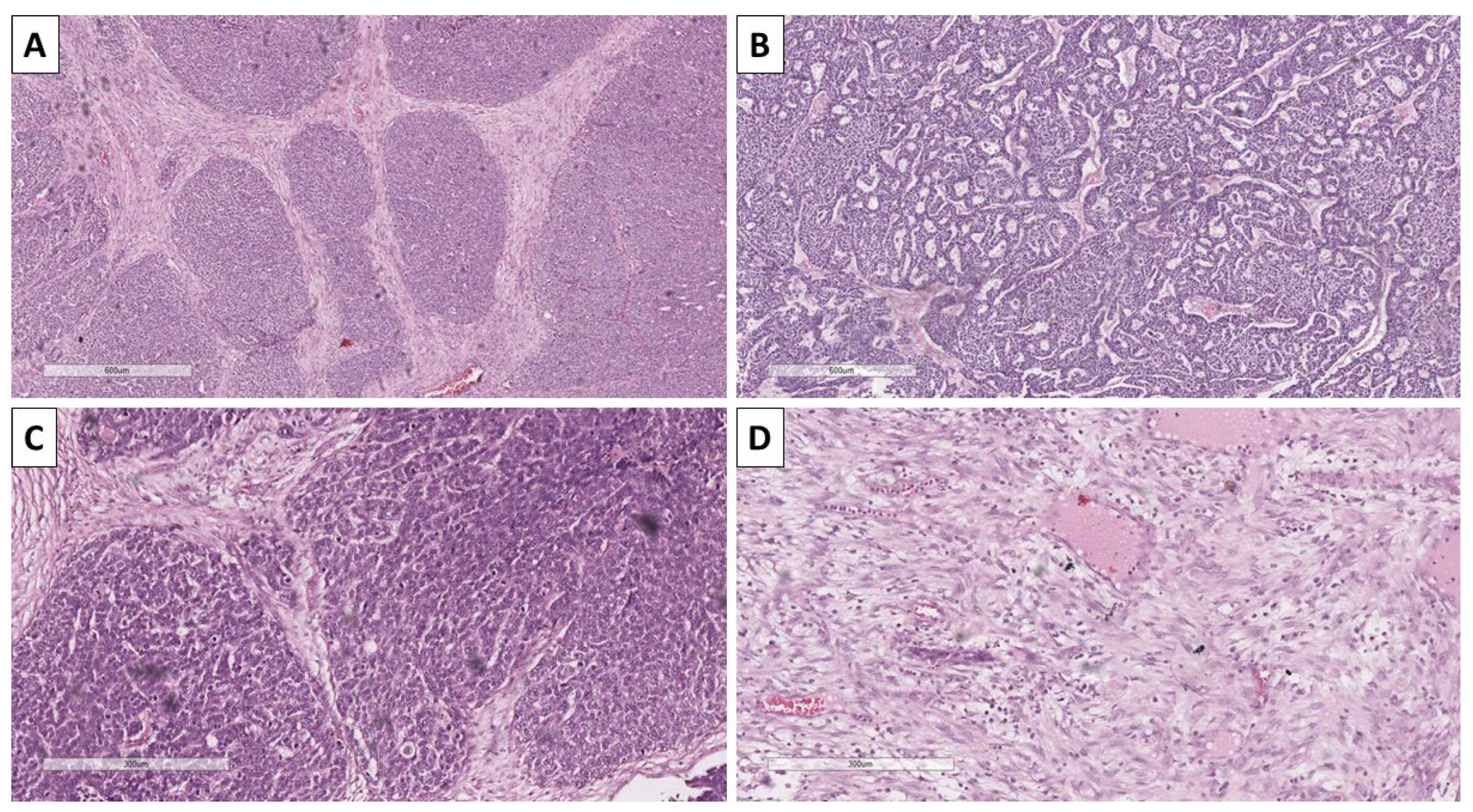 Reports 08 00218 g003