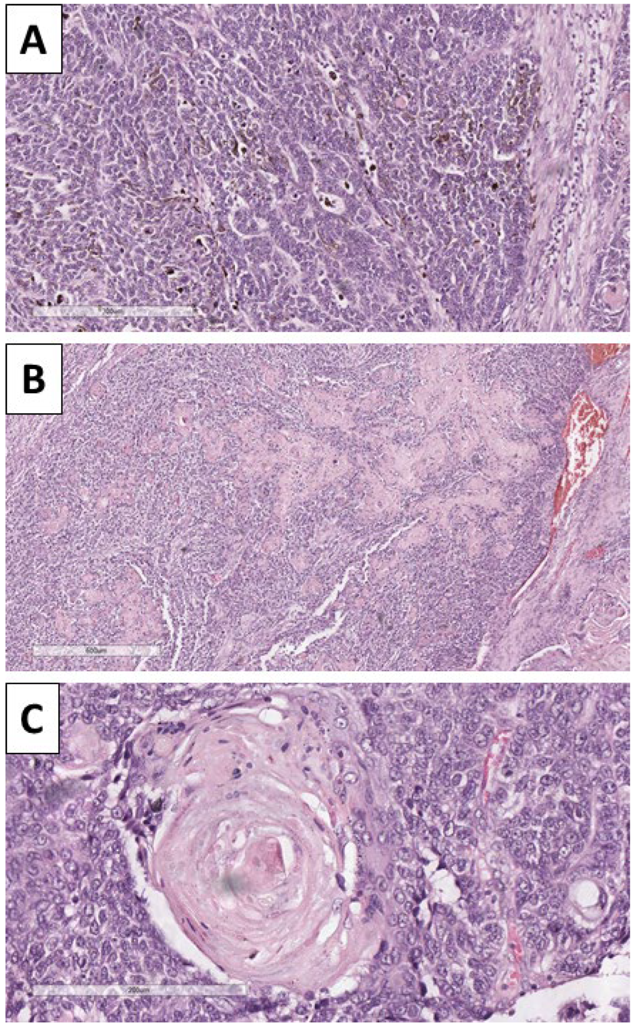 Reports 08 00218 g004