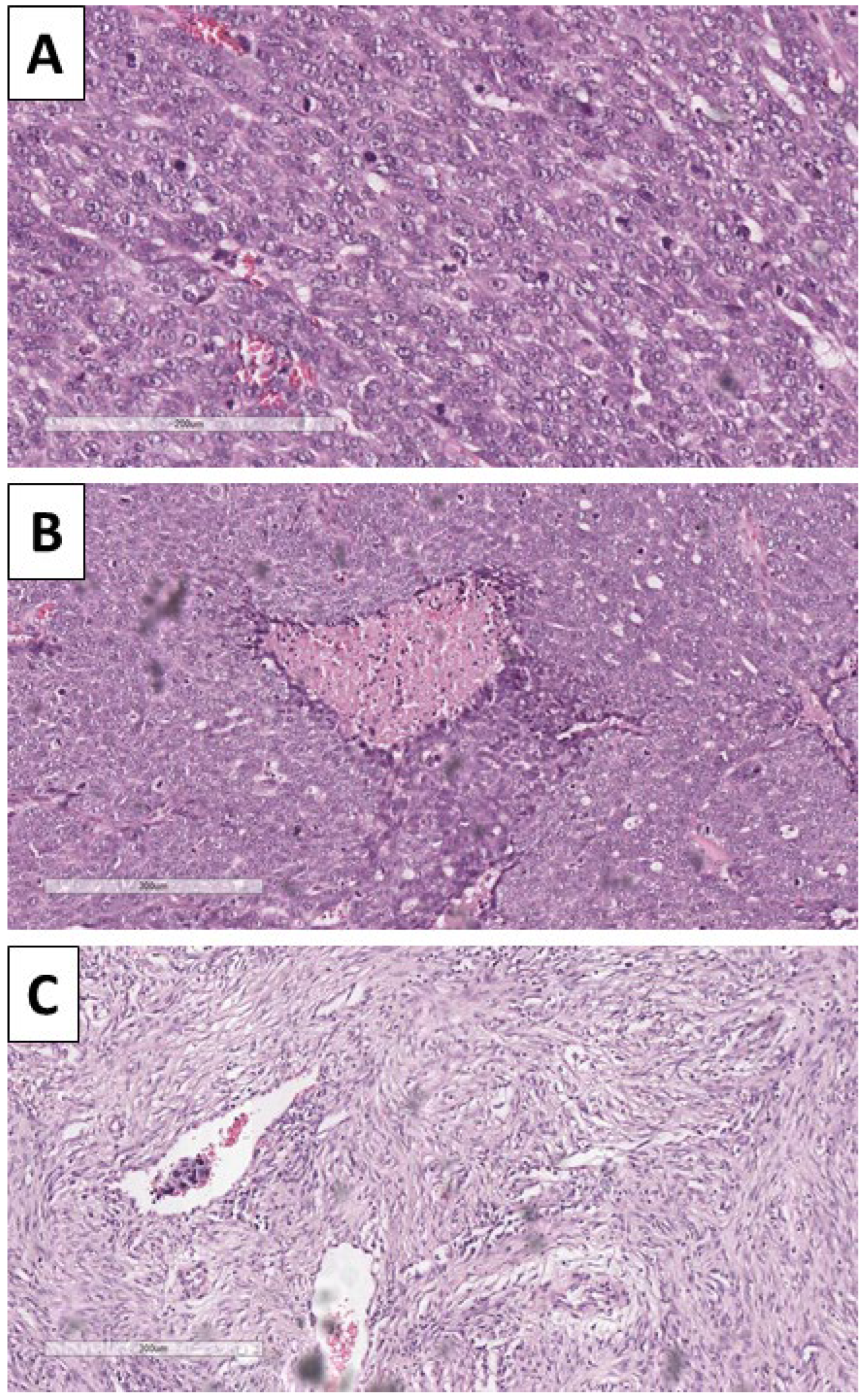 Reports 08 00218 g005