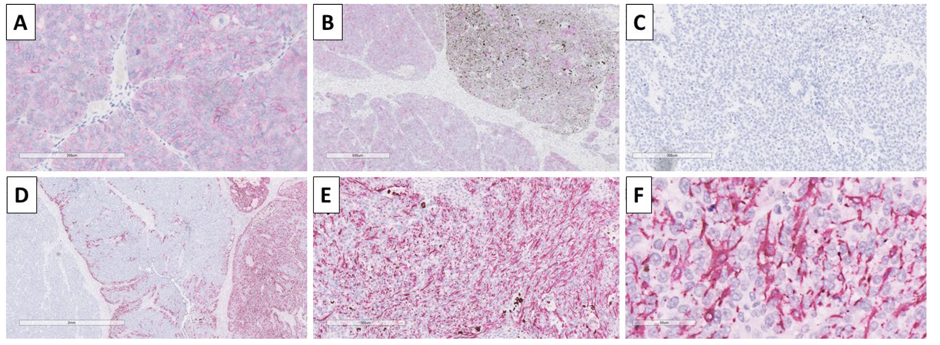 Reports 08 00218 g006