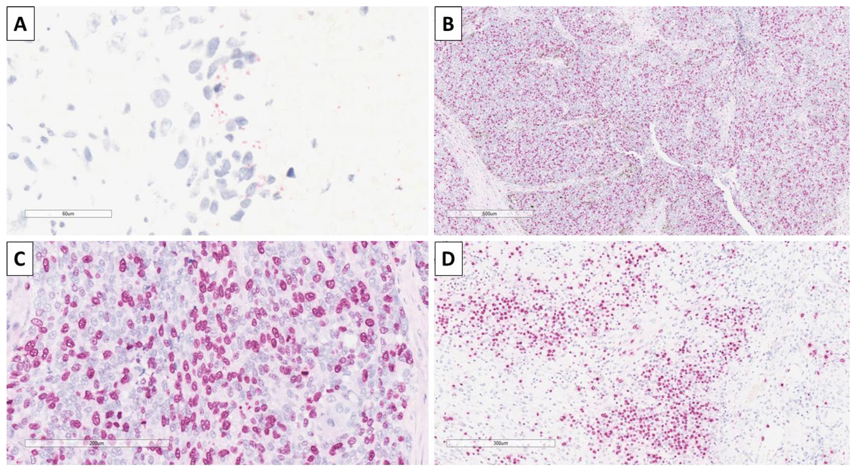 Reports 08 00218 g007