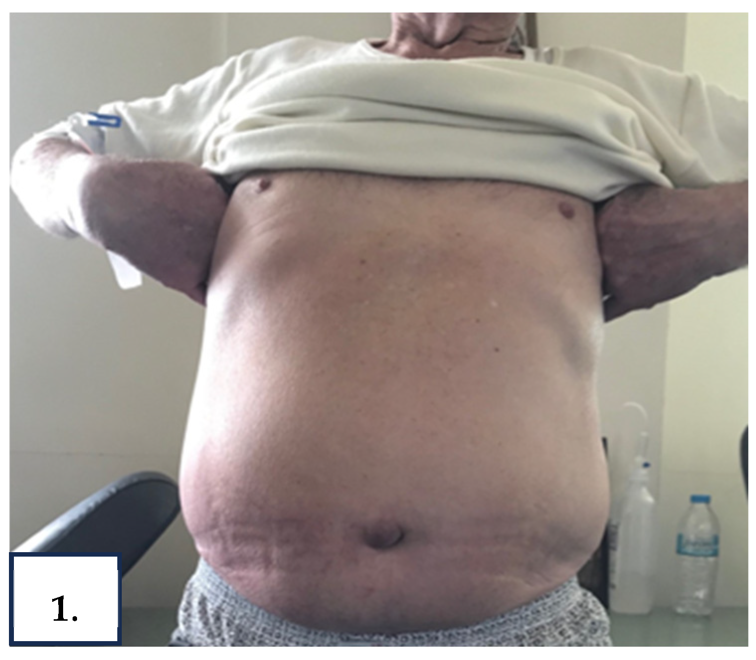 Reports 08 00219 g001 Reports 08 00219 g001