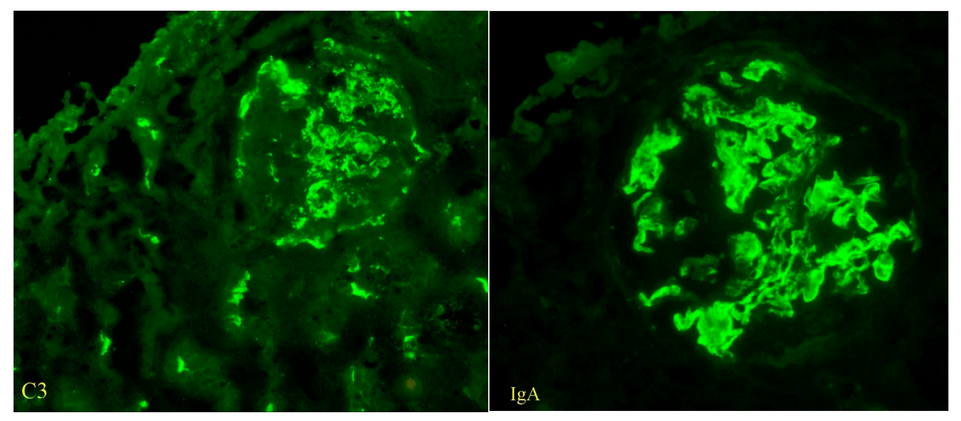 Reports 08 00220 g002