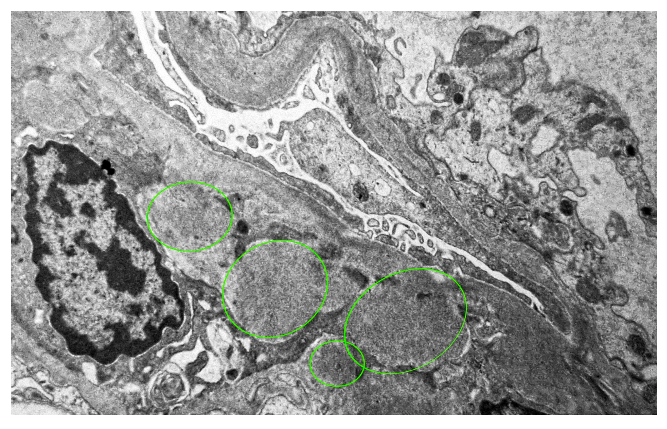 Reports 08 00220 g003