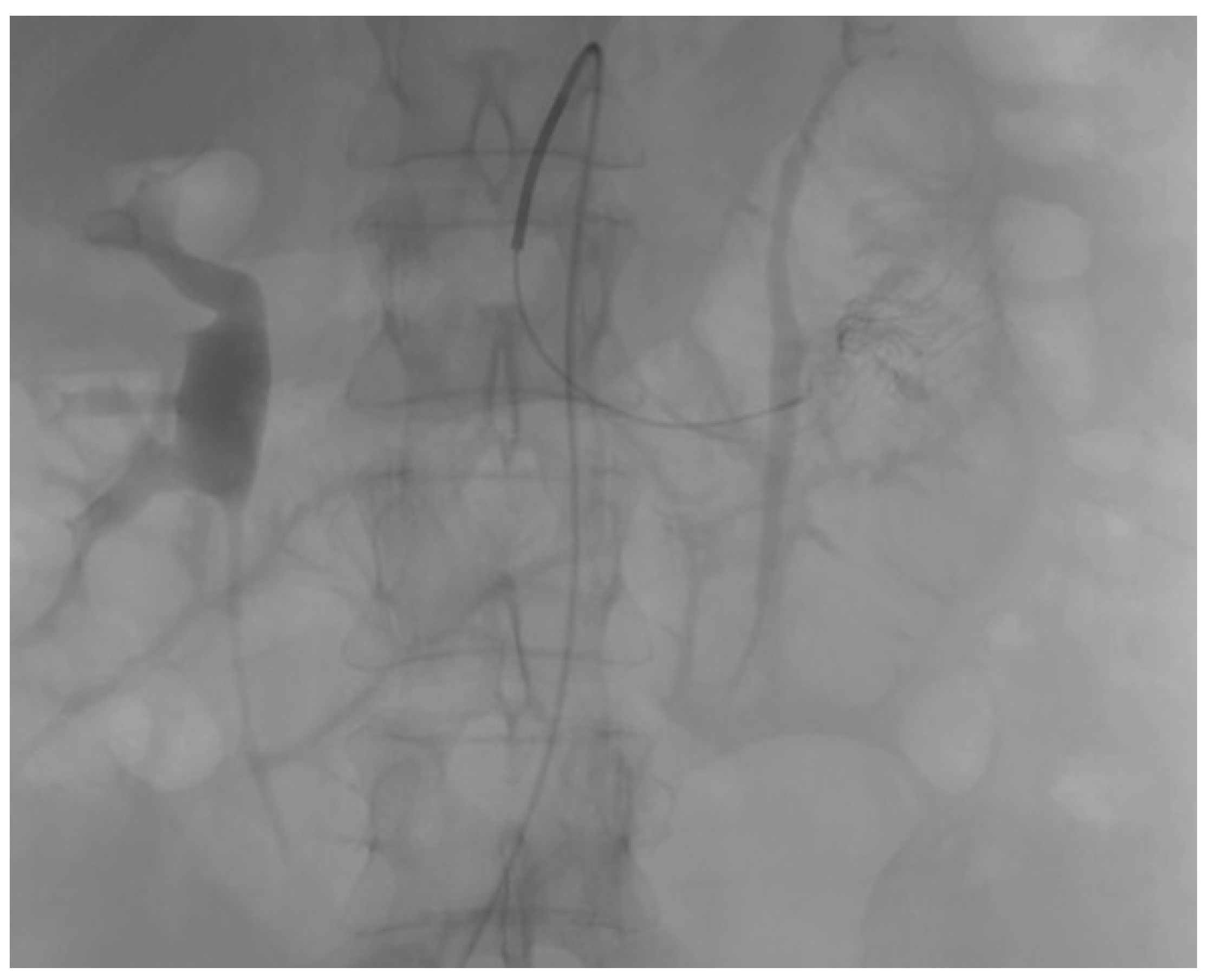 Reports 08 00221 g002 Reports 08 00221 g002