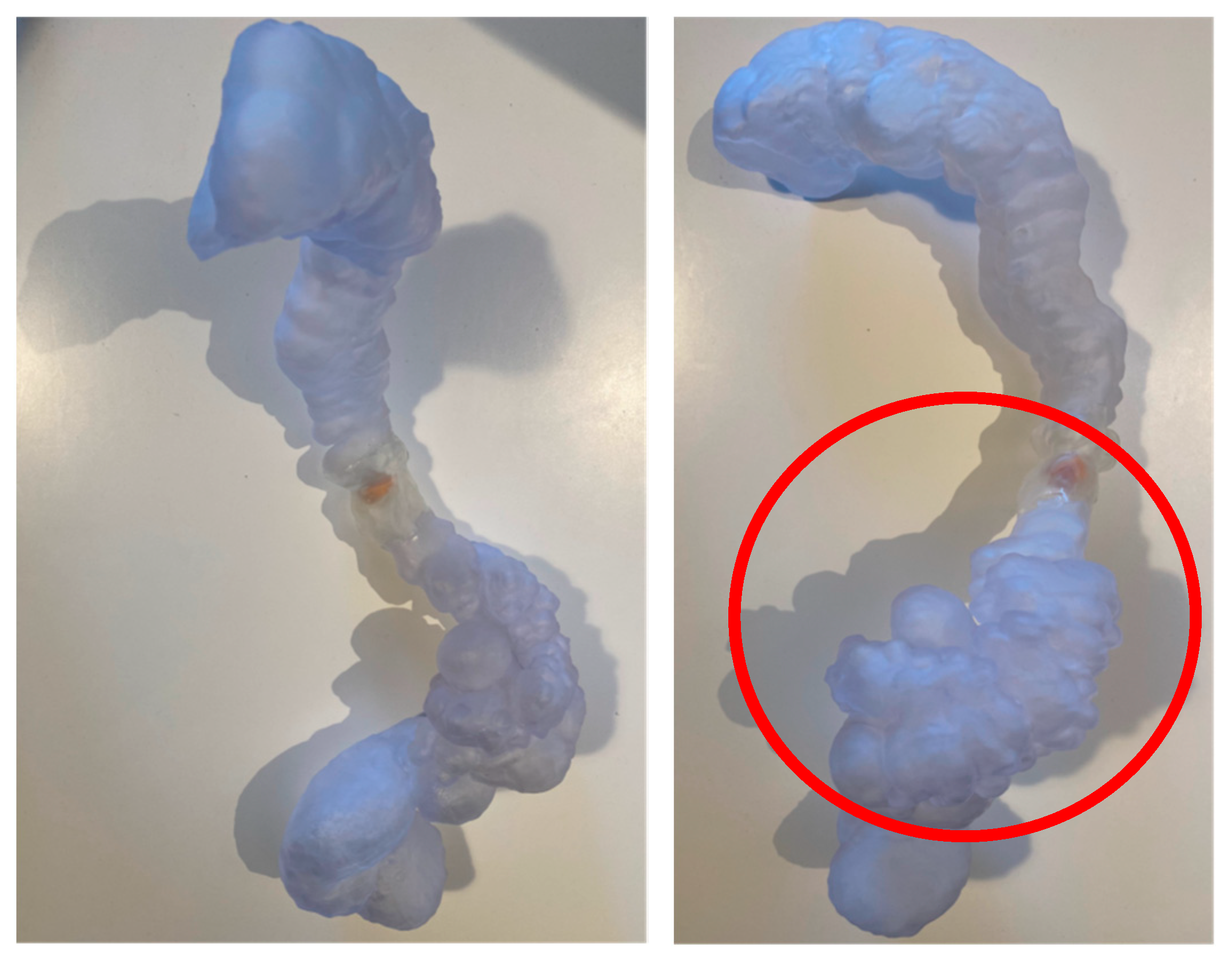 Reports 08 00222 g005 Reports 08 00222 g005