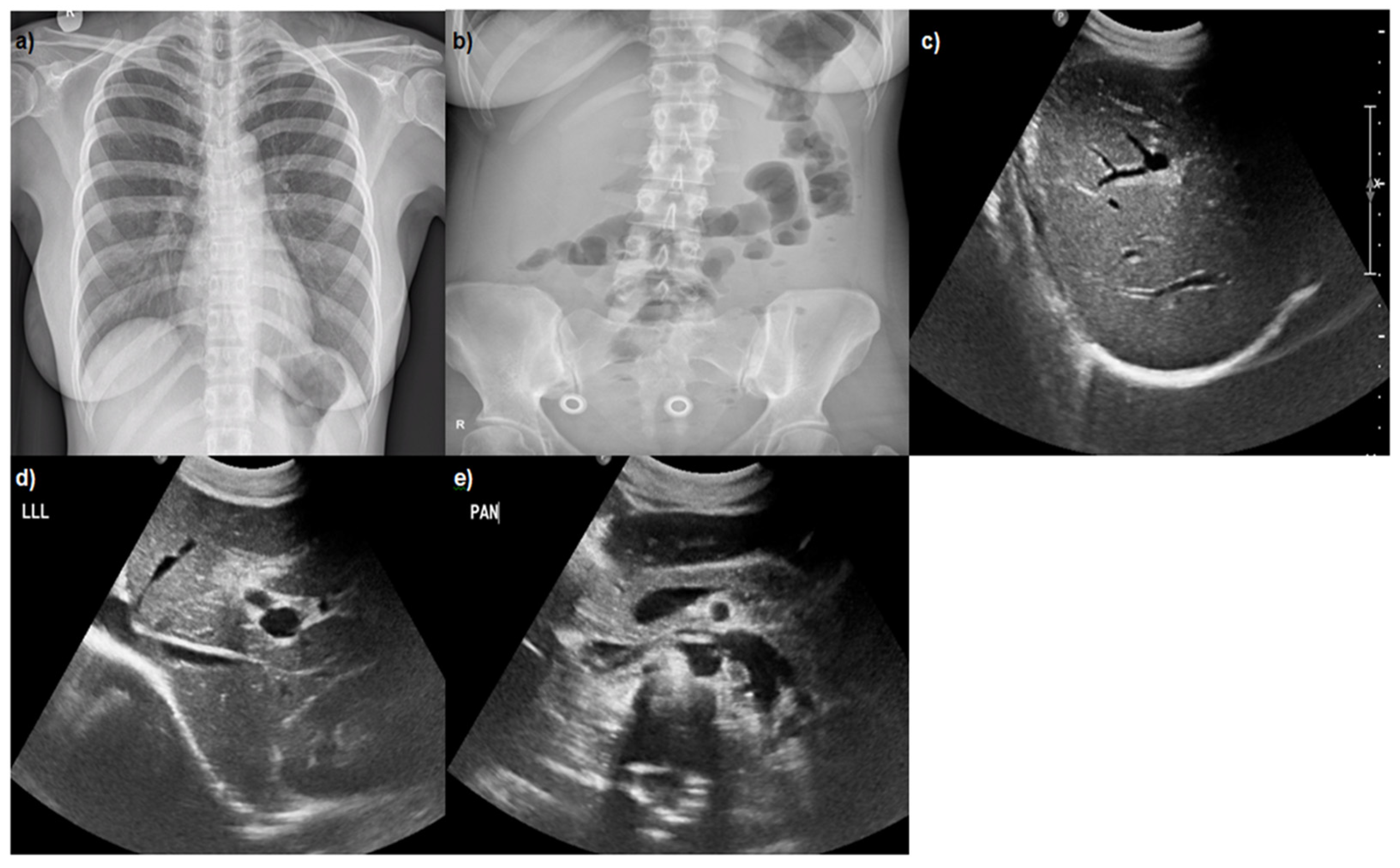 Reports 08 00225 g001 Reports 08 00225 g001