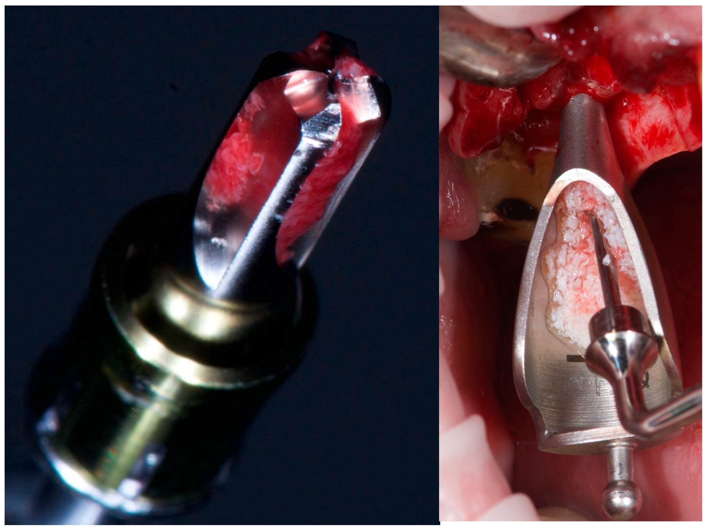 Reports 08 00228 g002 Reports 08 00228 g002