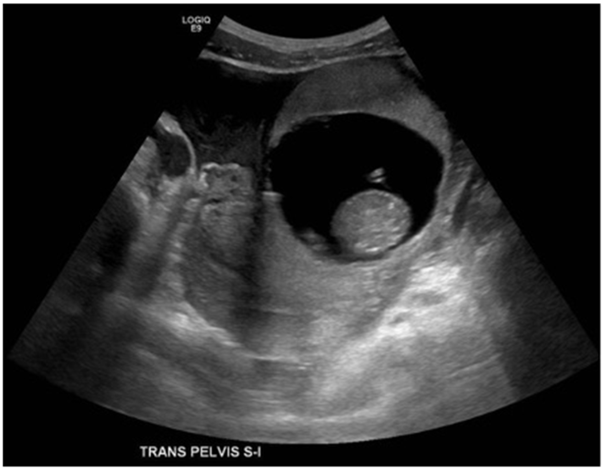 Reports 08 00229 g001