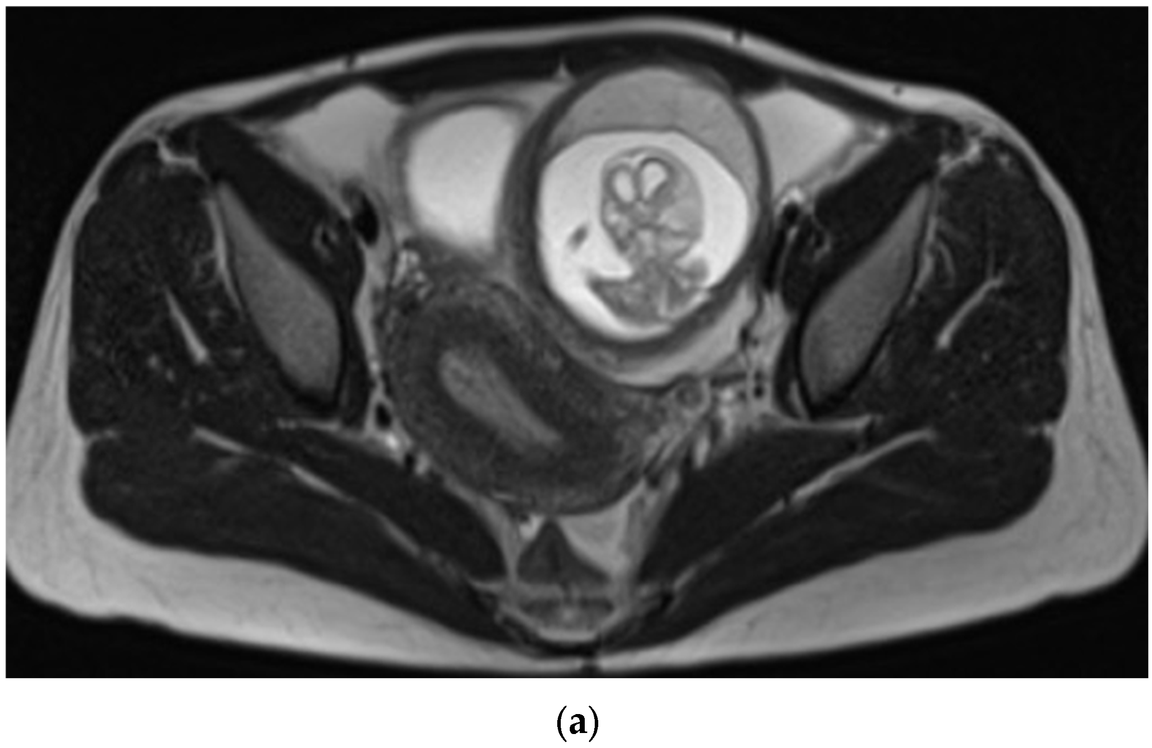 Reports 08 00229 g002a