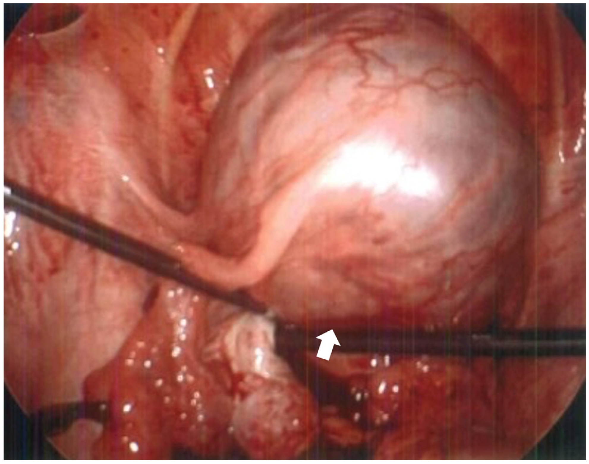 Reports 08 00229 g003