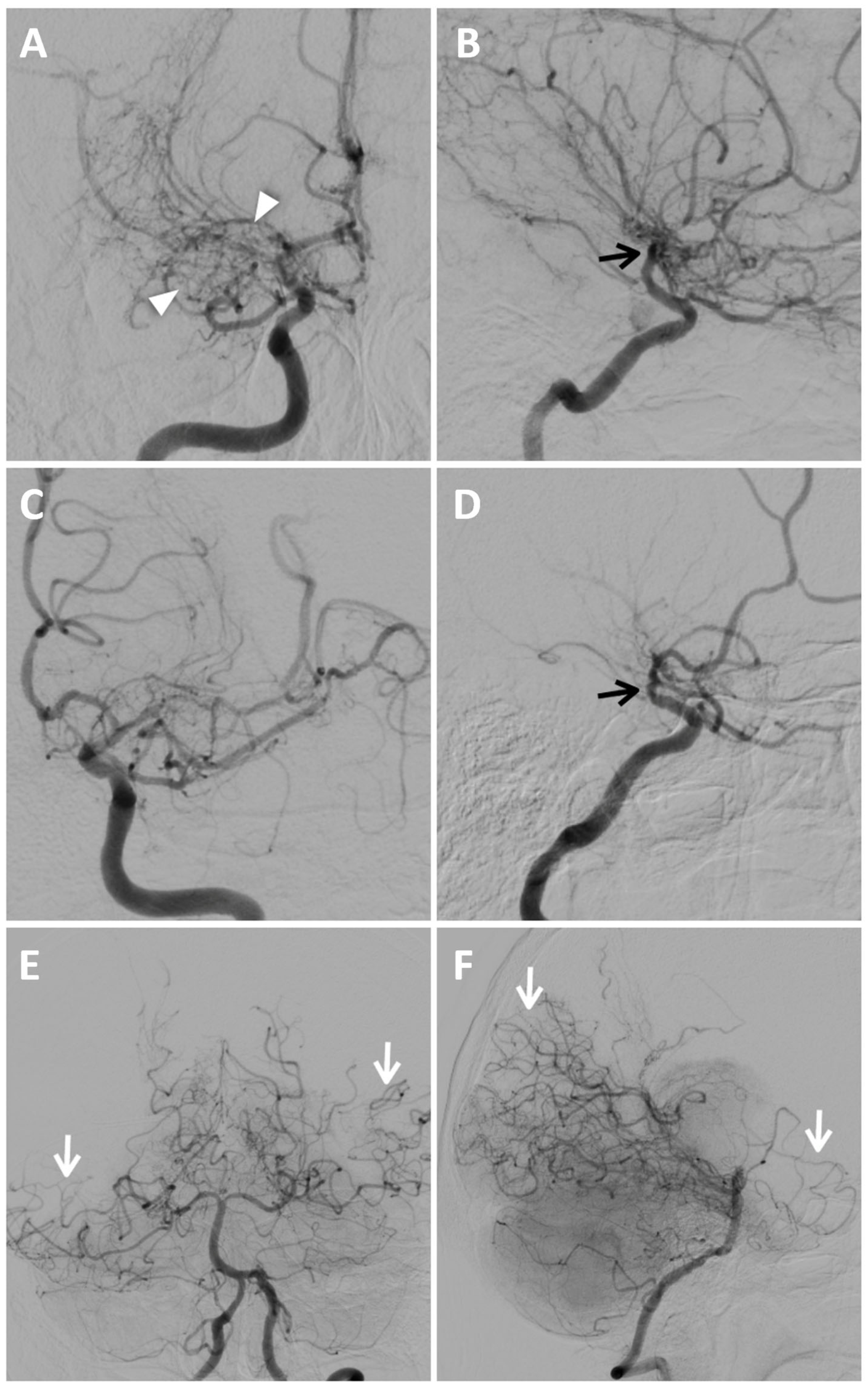Reports 08 00232 g005 Reports 08 00232 g005