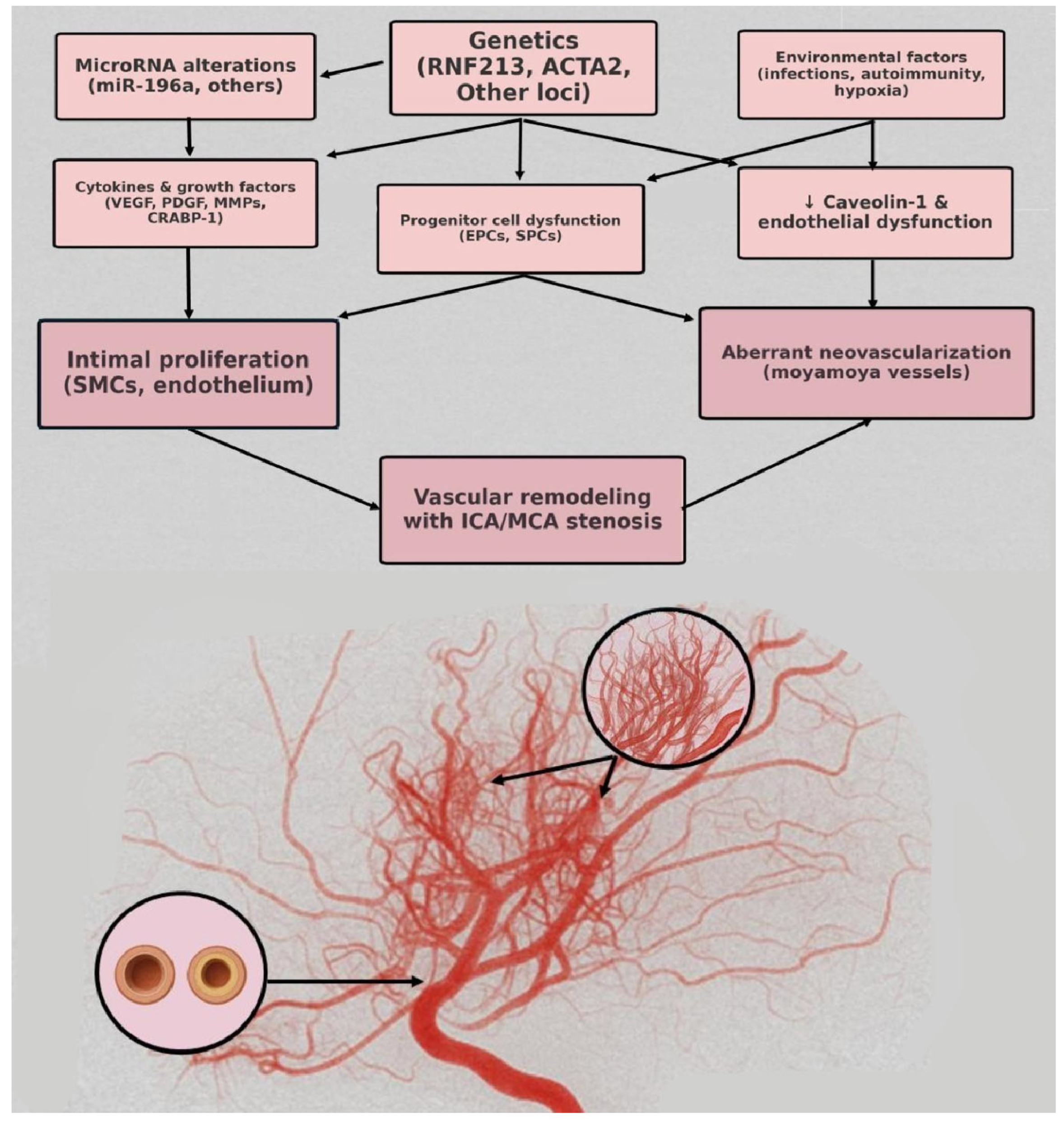 Reports 08 00232 g006 Reports 08 00232 g006