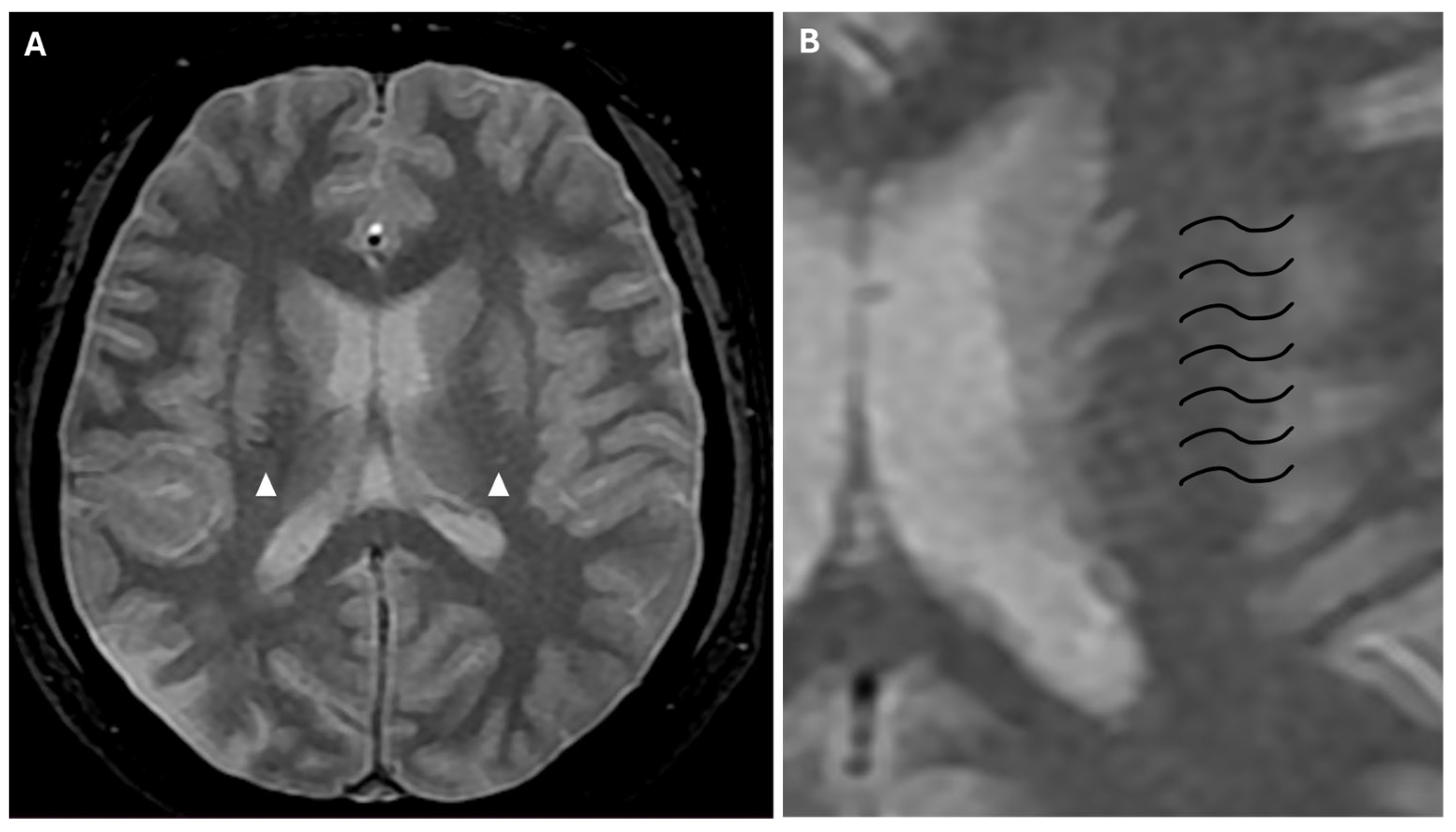 Reports 08 00232 g008 Reports 08 00232 g008