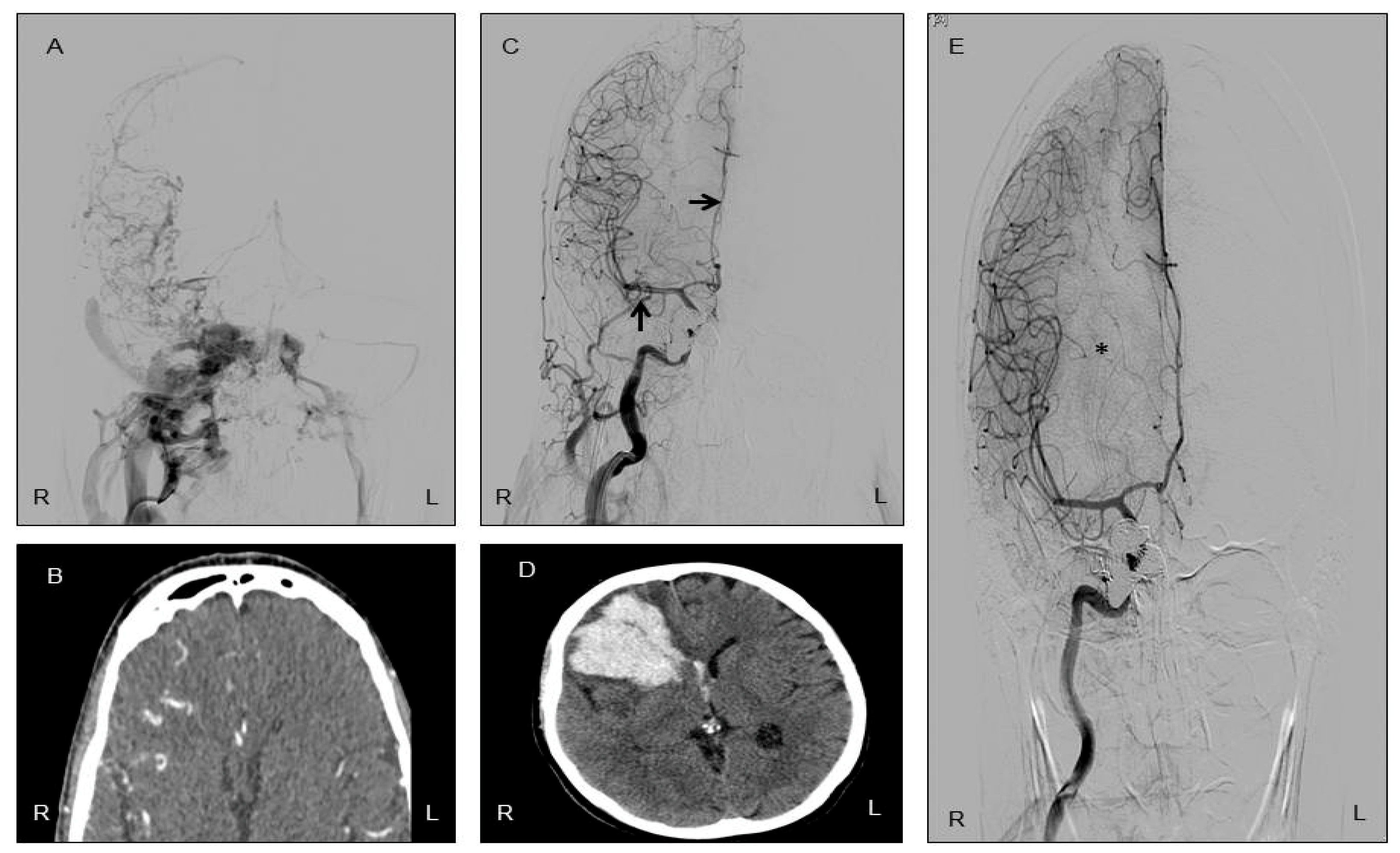 Reports 08 00234 g001