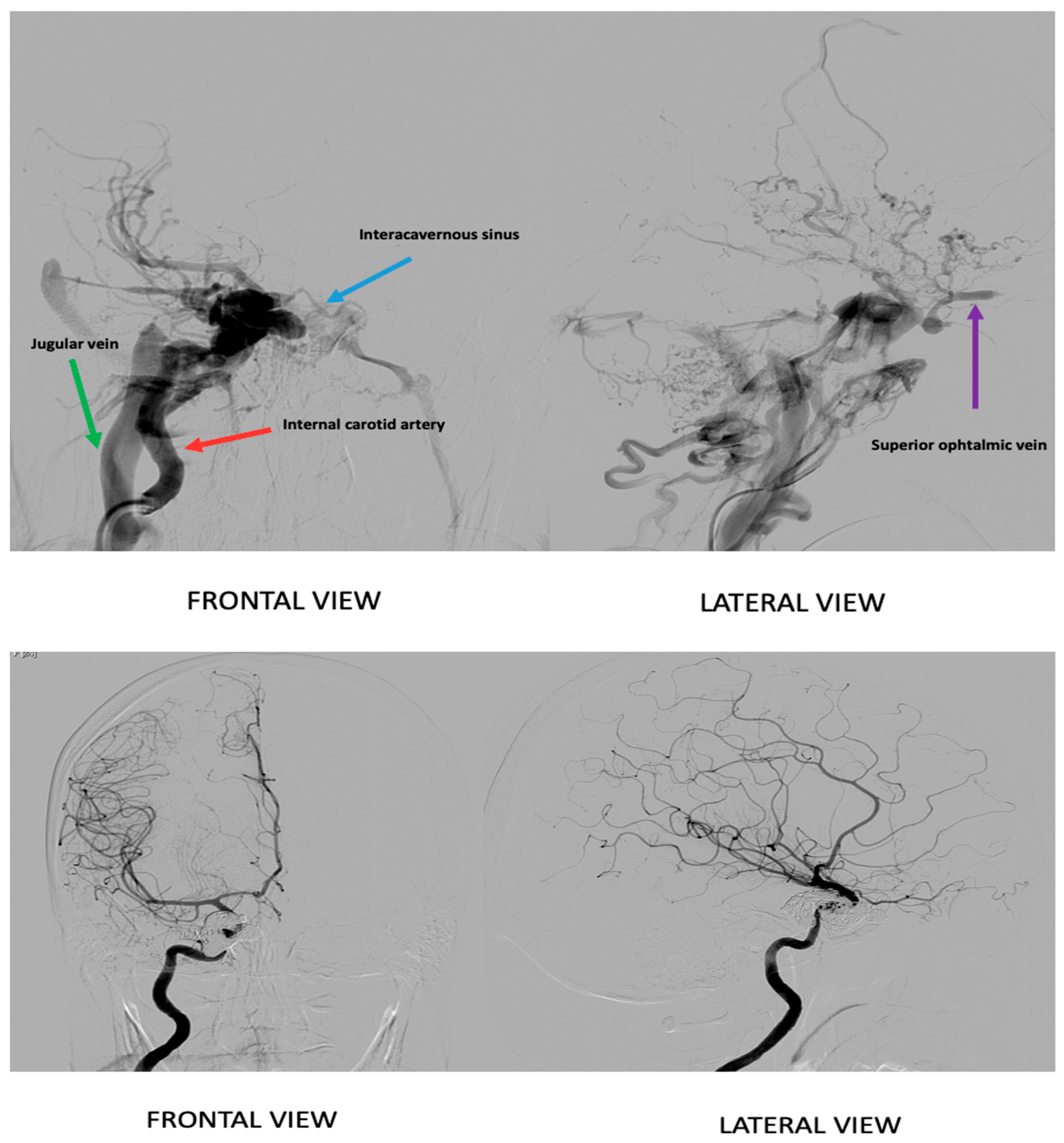 Reports 08 00234 g002