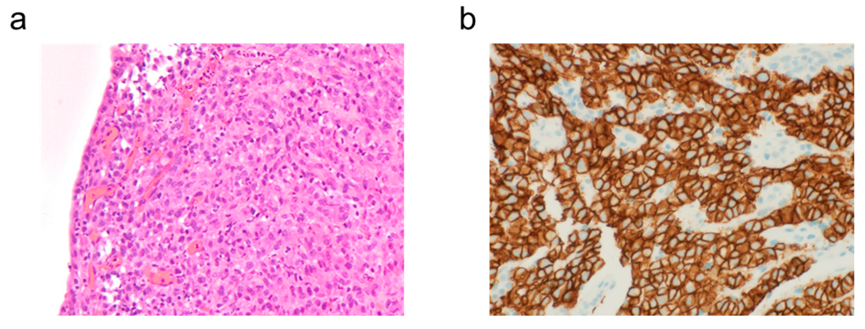 Reports 08 00235 g002